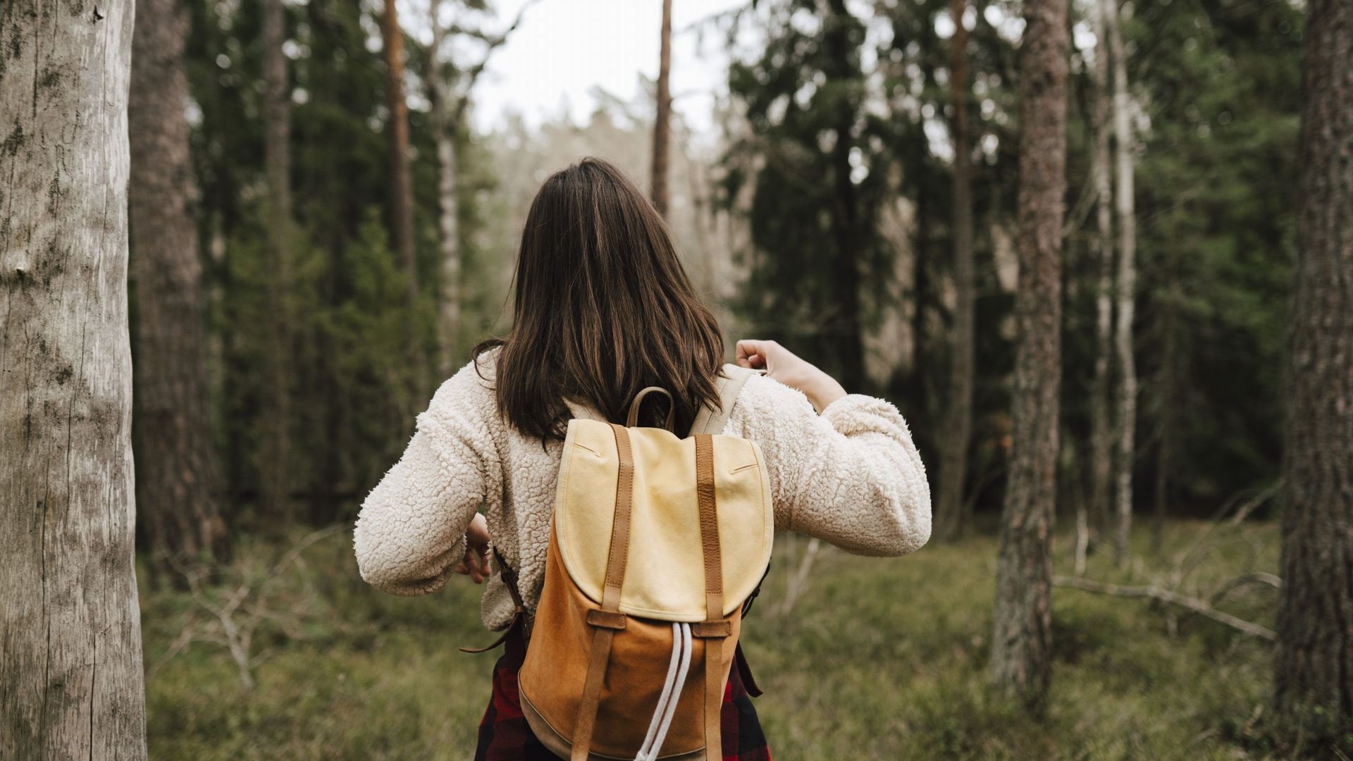 Marcher dans la nature diminue l’anxiété grâce au plaisir qu’elle procure, d’après une étude de l’UCLouvain
