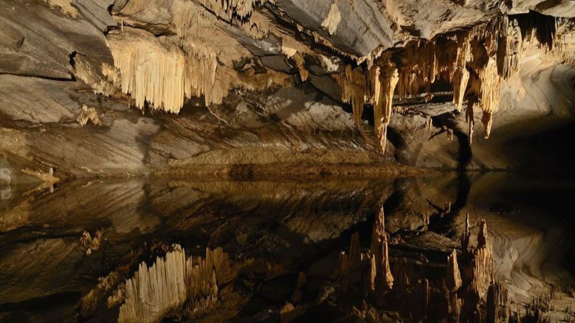Les grottes de Han, ce sont 14 kilomètres de salles et de galeries découvertes à ce jour.