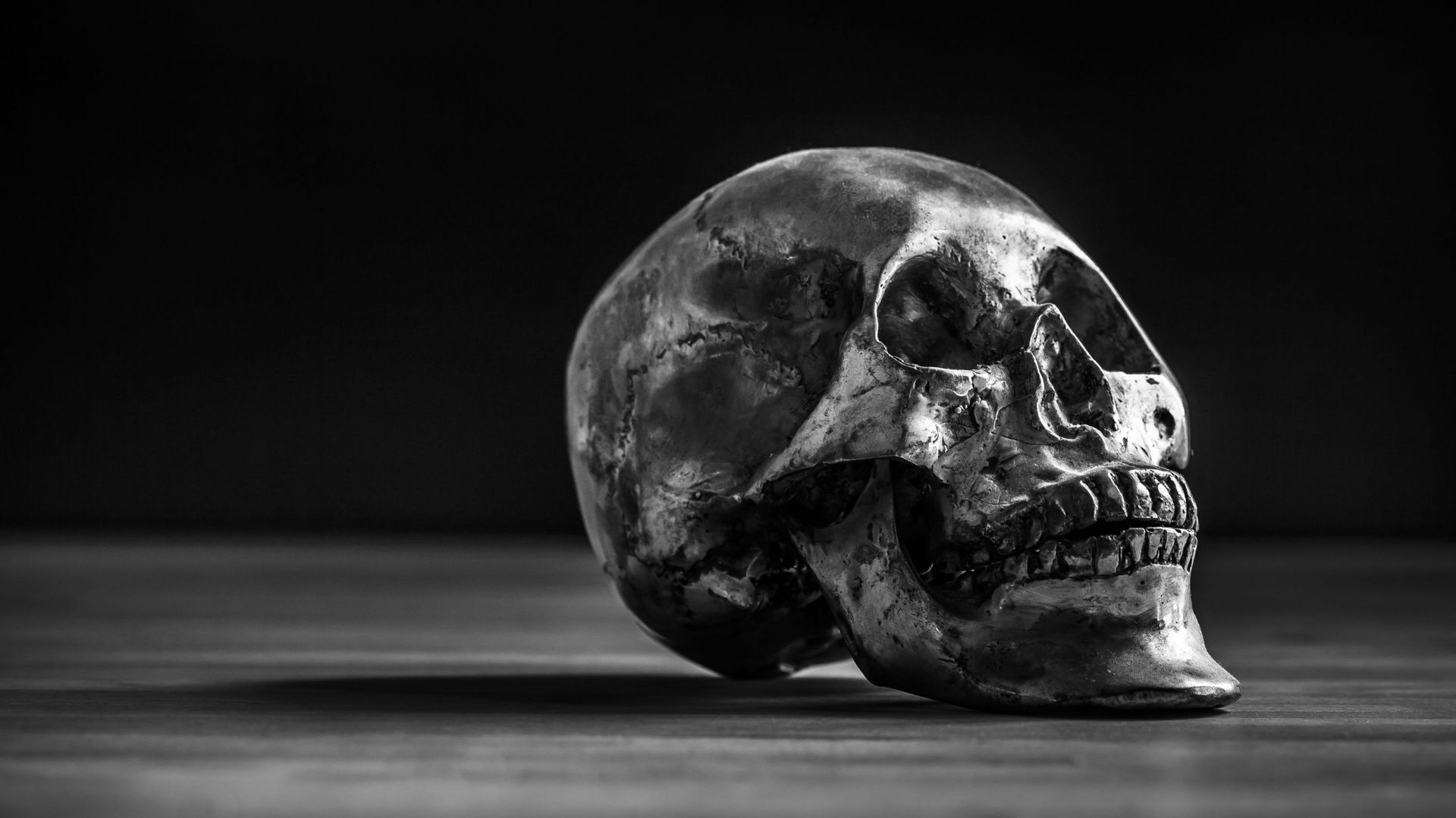Silver Skull in Black and White