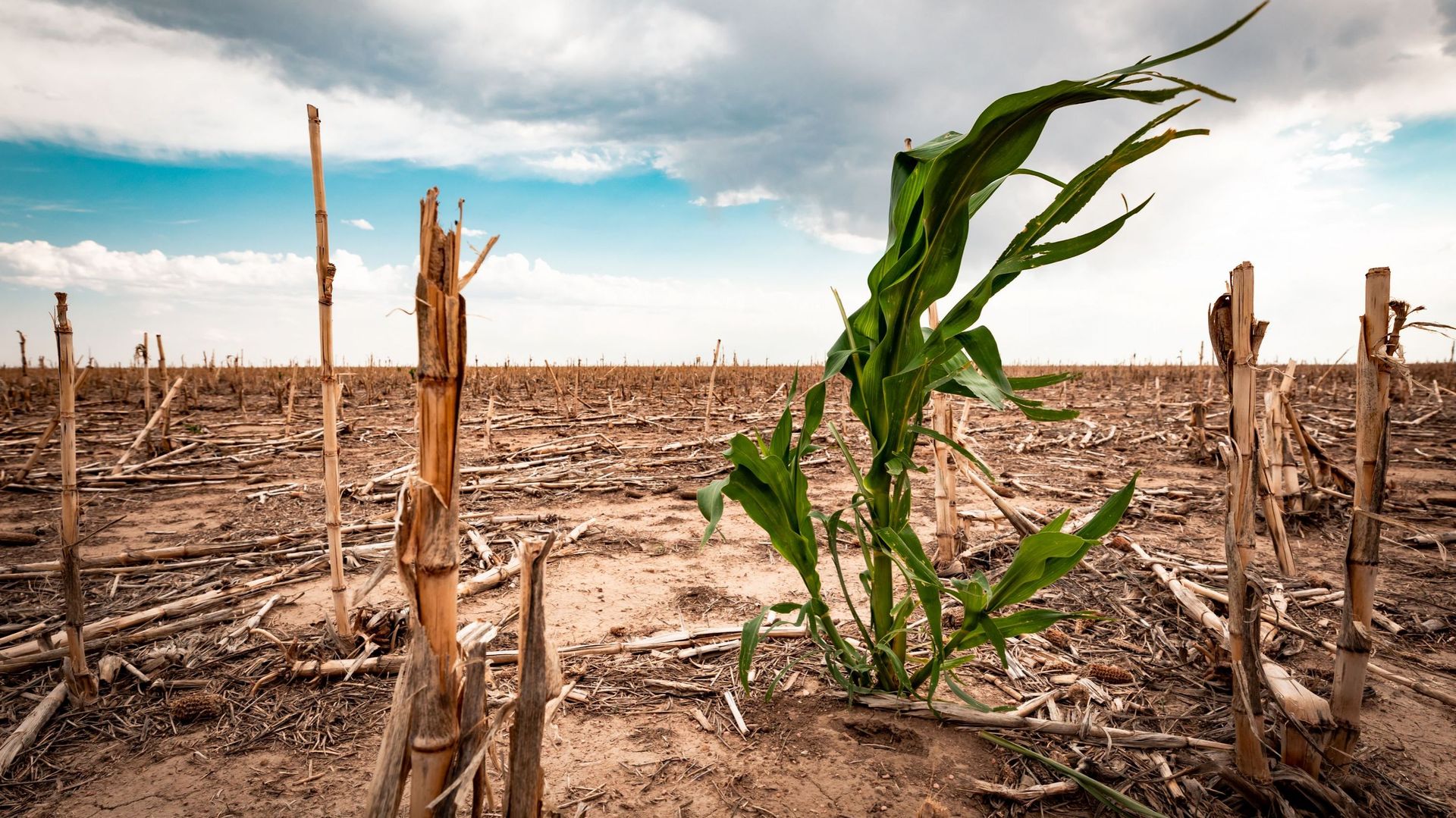 Les États membres de l’UE repoussent leur décision sur l’objectif climatique 2040