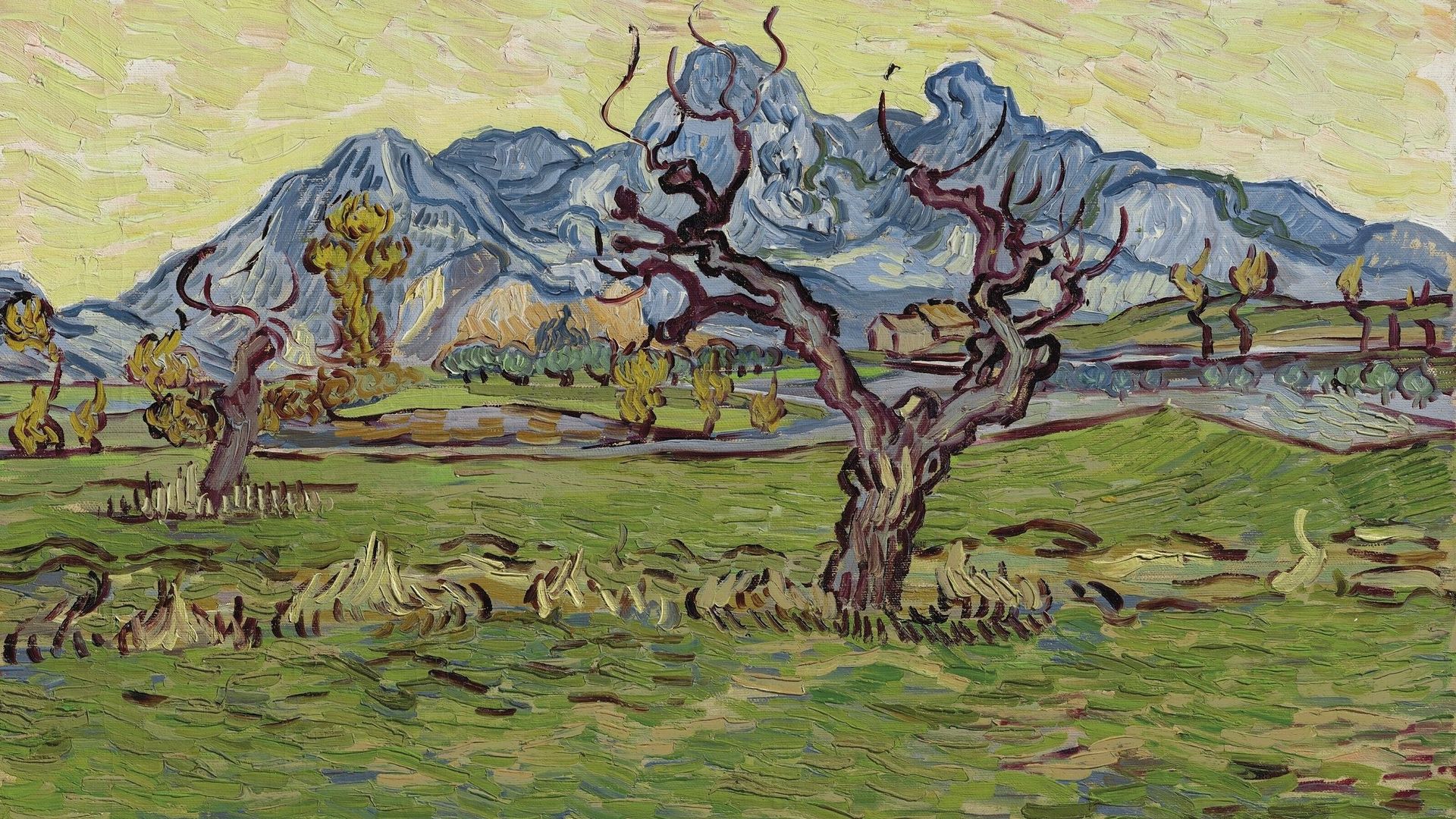"Champs près des Alpilles" de Vincent Van Gogh passera sous le marteau en mai chez Christie's, à l'occasion de la vente du soir new-yorkaise "20th Century".