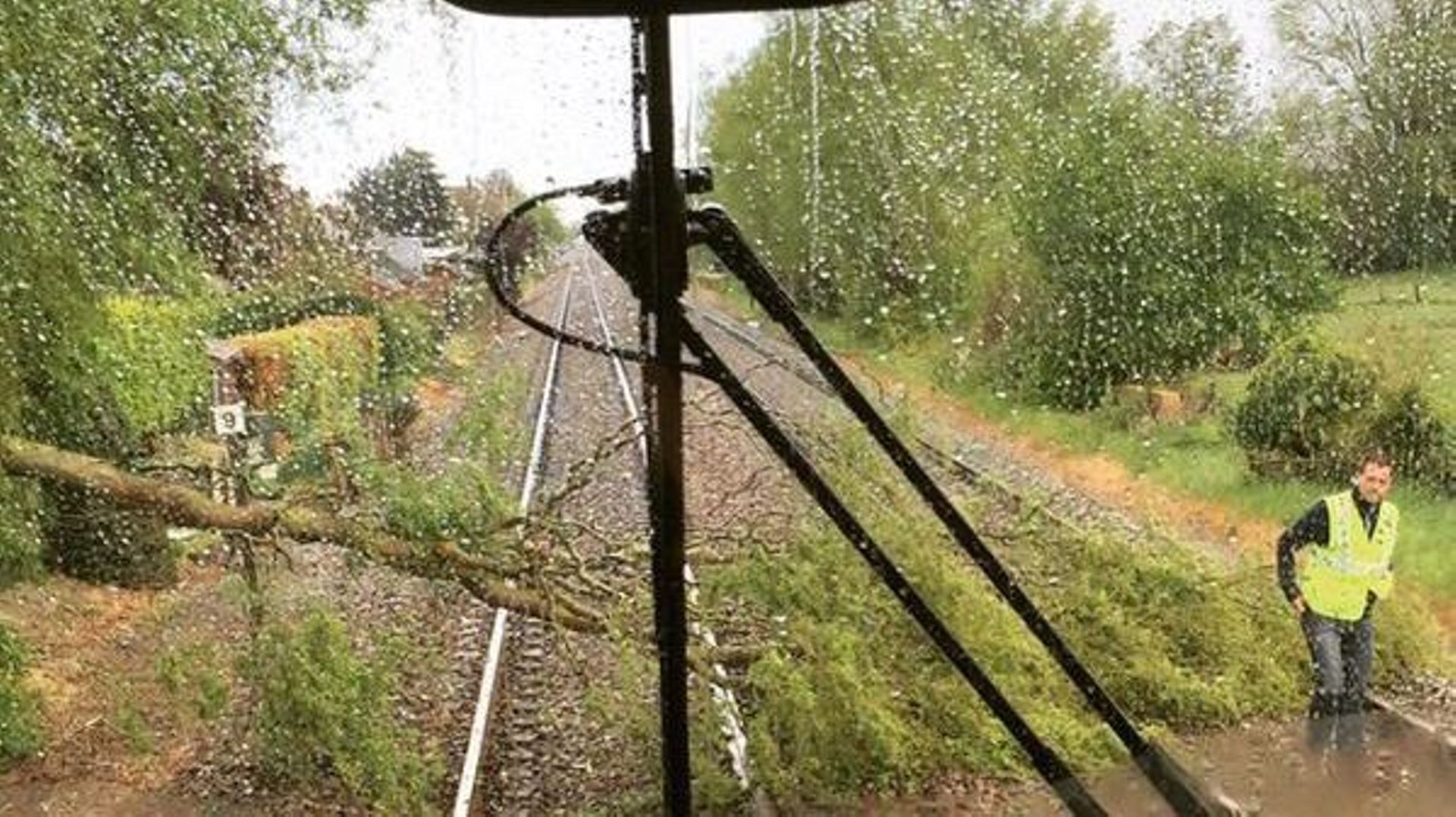 Orages: arbres sur les voies et fortes perturbations sur le rail