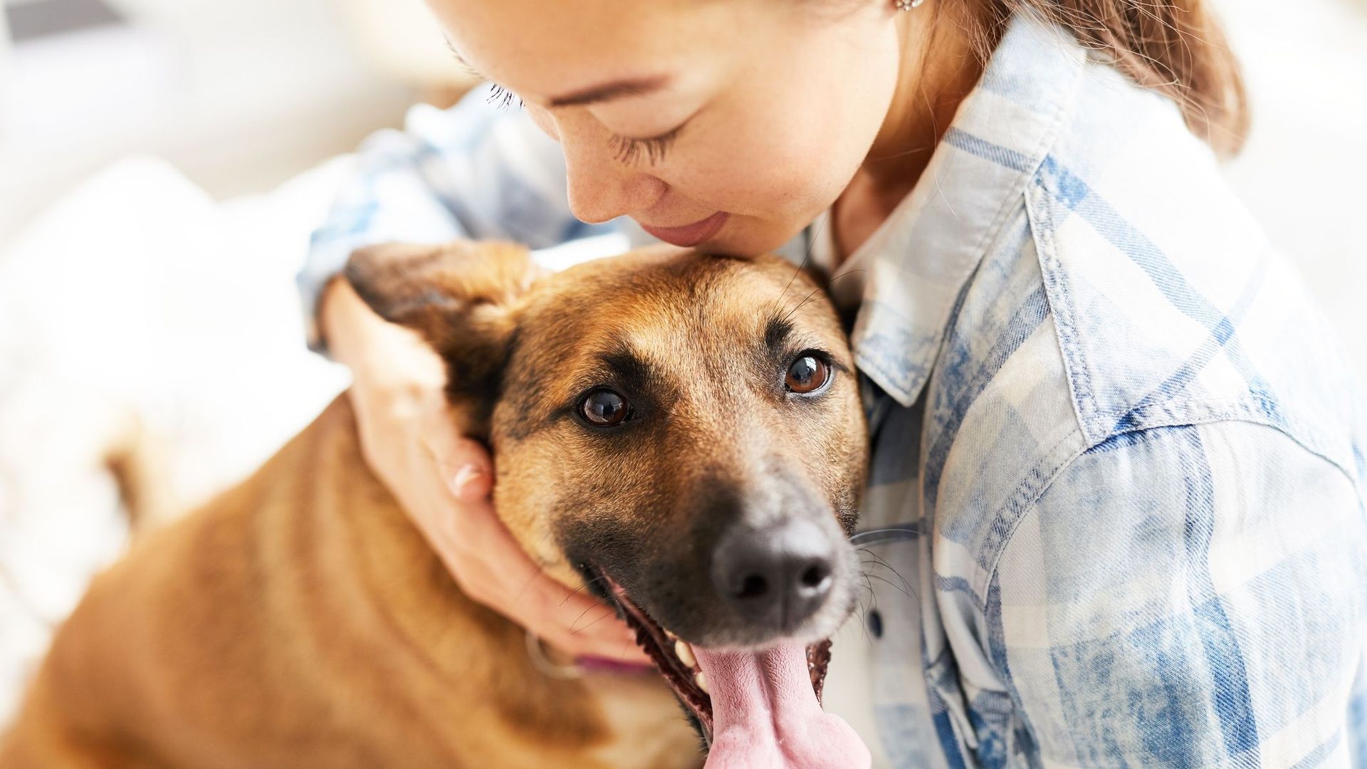 Les chiens veulent sauver leurs propriétaires quand ils ont un problème, selon une étude.