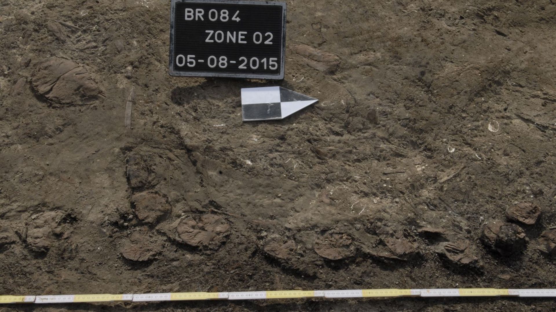 Bruxelles: des vestiges romains retrouvés sur le site de Tour et Taxis