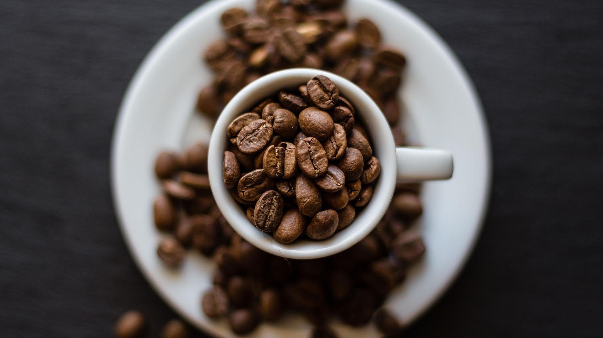Sciences : le café est-il bon pour la santé ?