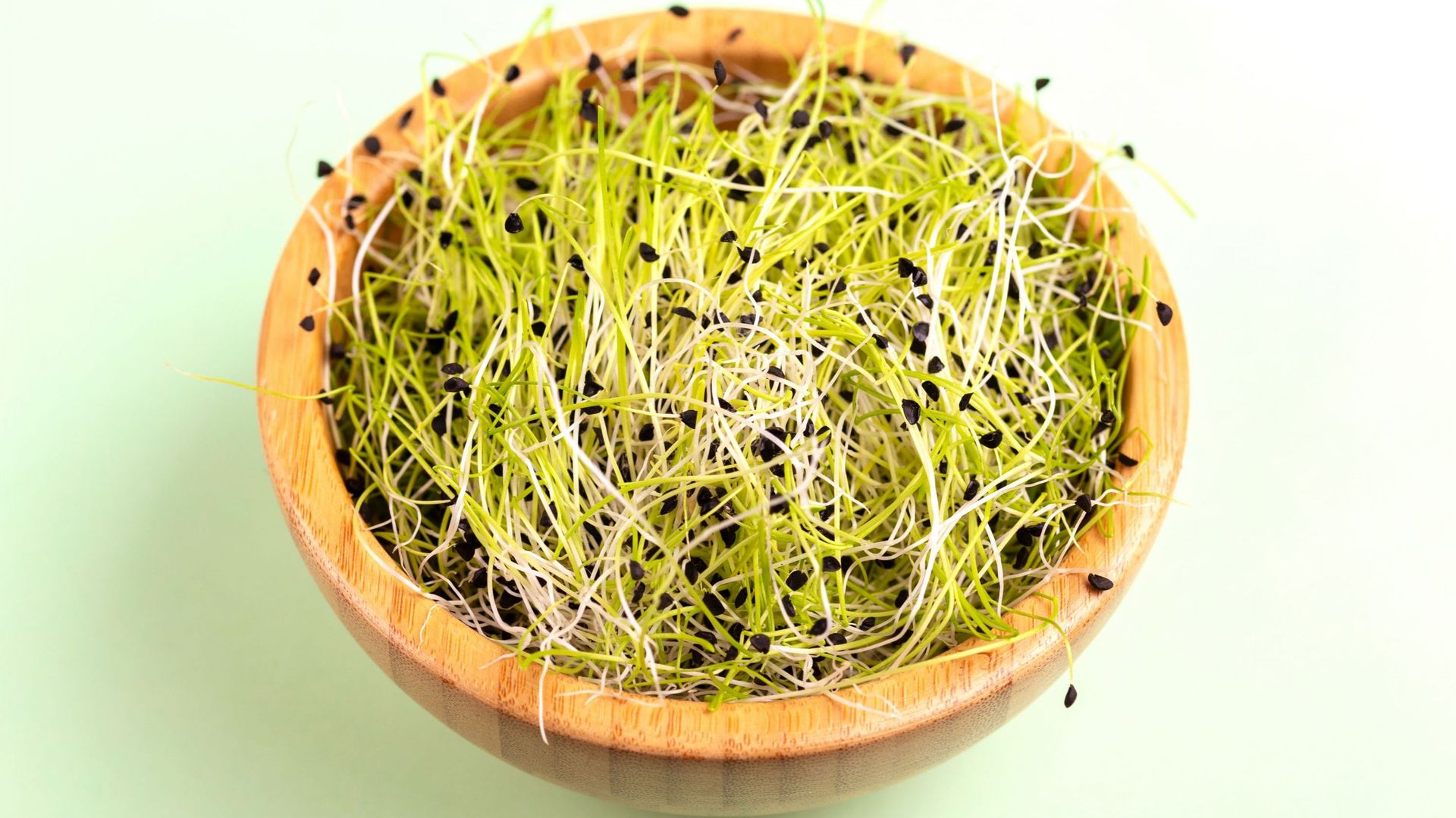 Fresh microgreen leek in wooden bowl on light green background