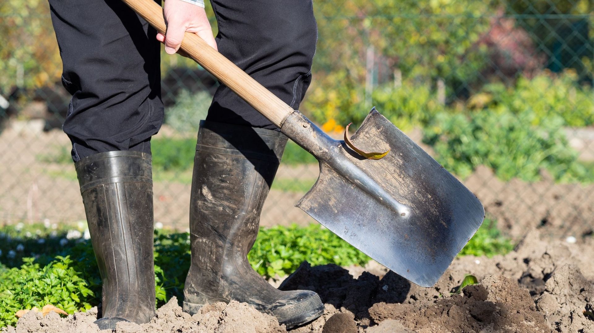 Pourquoi et comment nettoyer ses outils de jardin en fin de saison ?