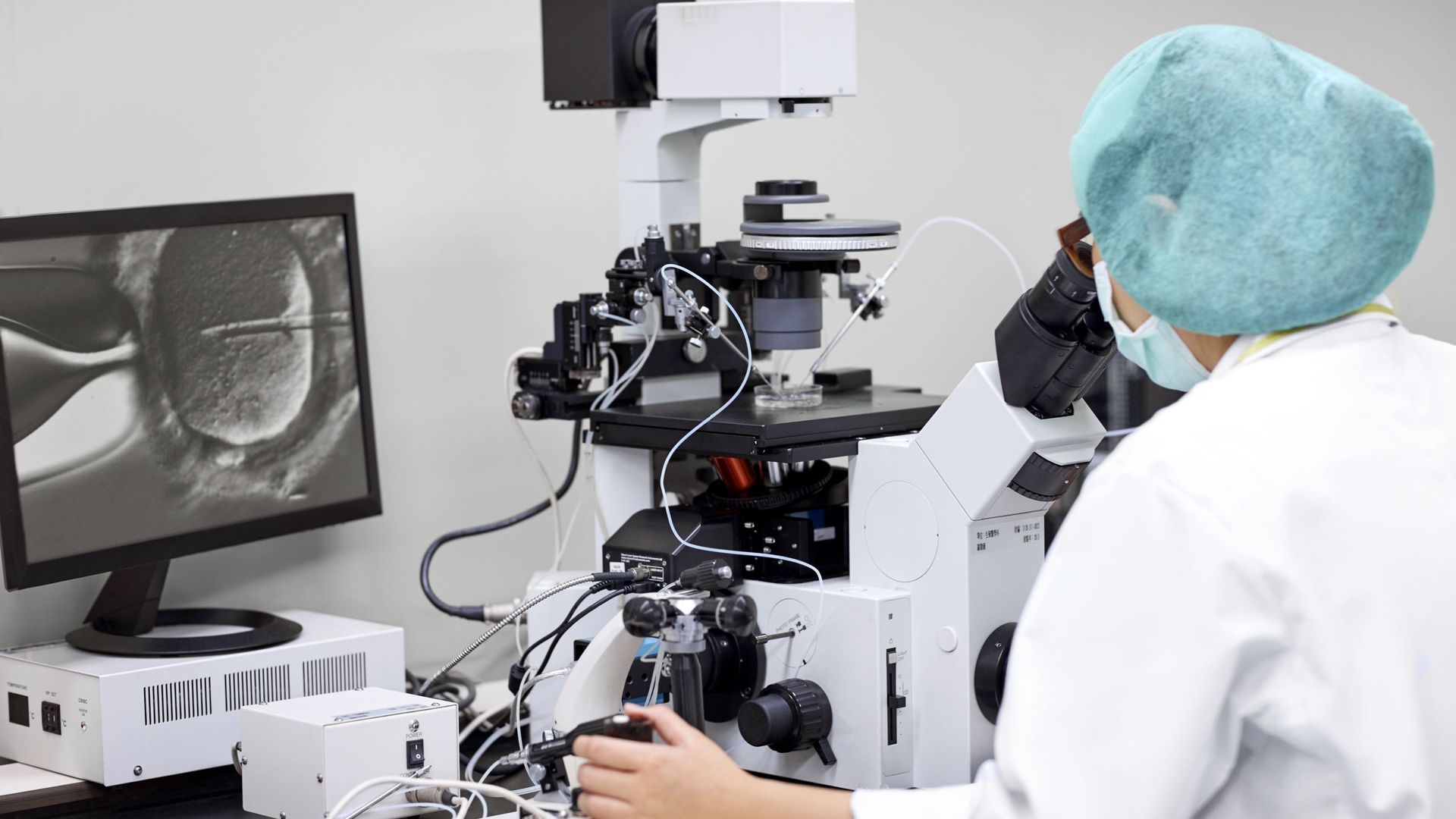 Scientist looking in microscope at laboratory