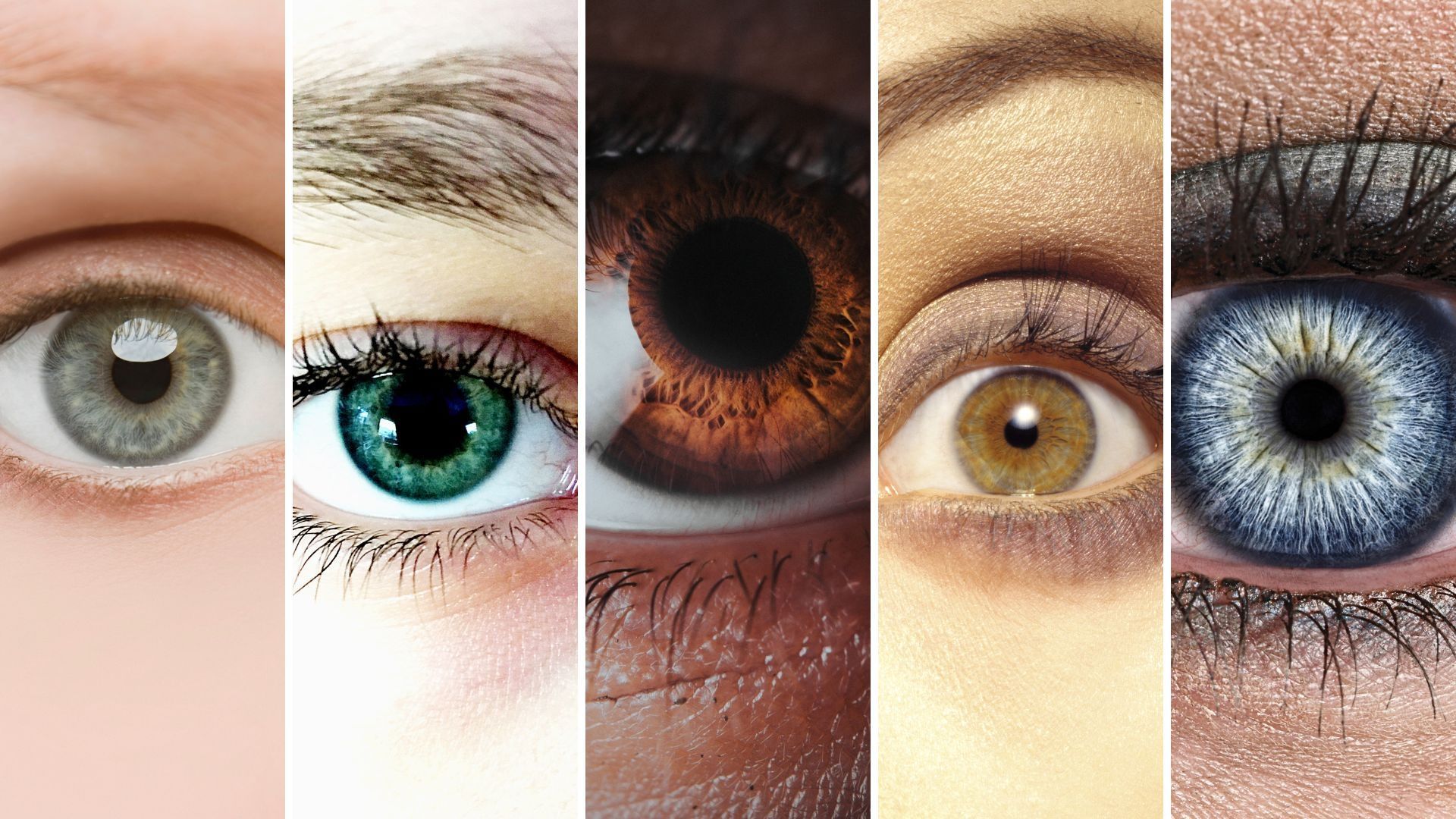 Quelle est la couleur des yeux la plus rare au monde ? RTBF Actus
