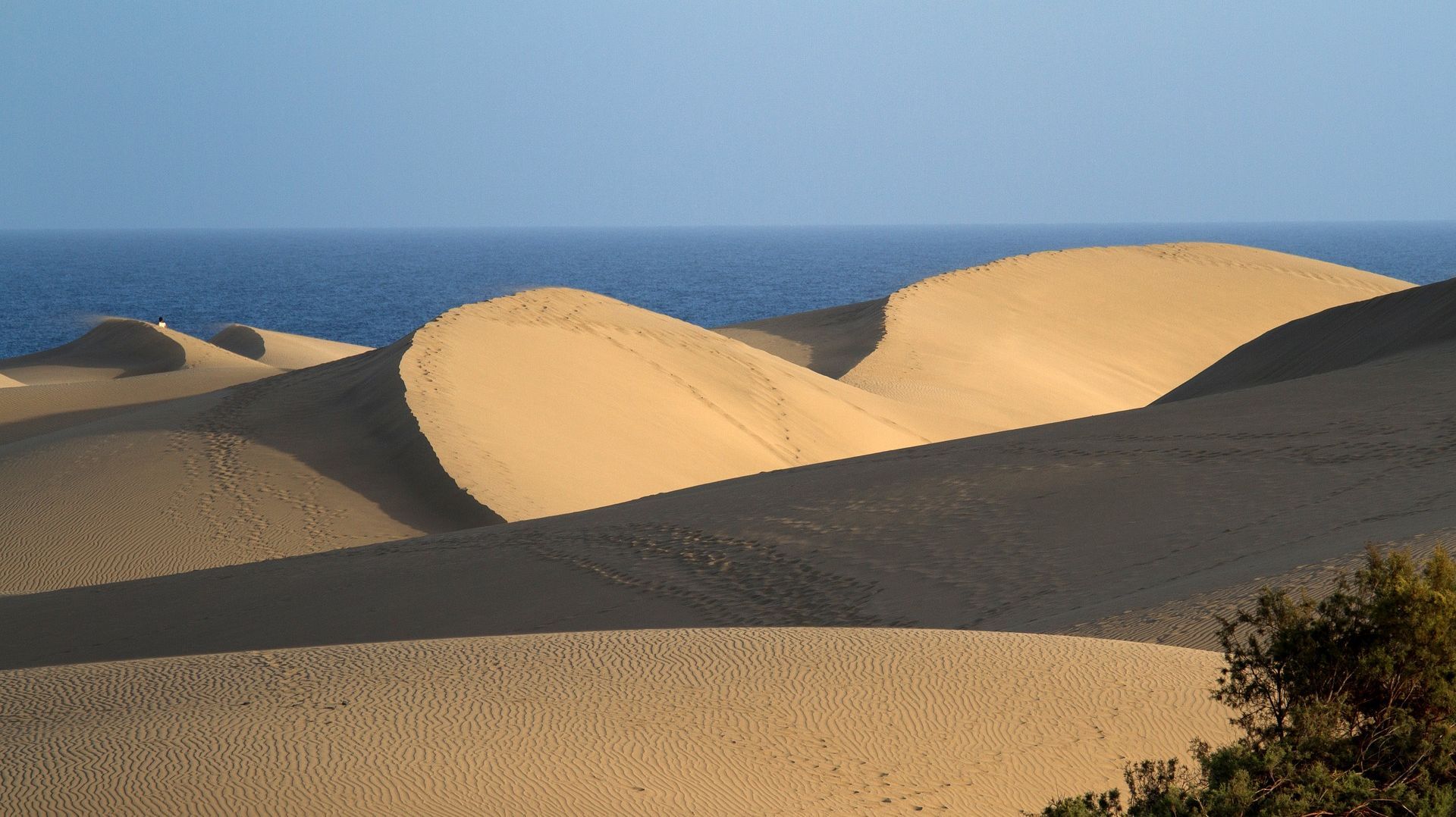 Les dunes de Maspalomas, Gran Canaria