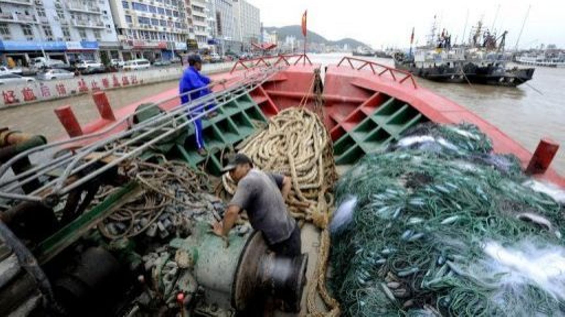 Des pêcheurs mettent leurs bateaux à l'abri de la tempête tropicale Muifa, le 6 août 2011 à Zhoustan, dans la province chinoise de Zhejiang