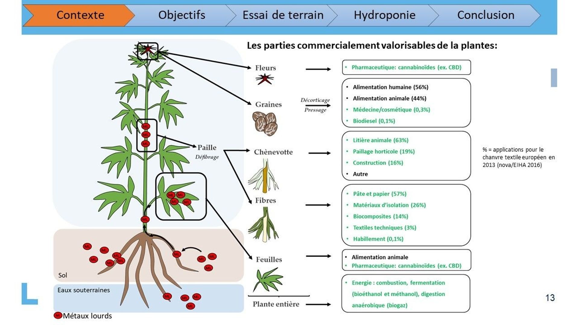 Diagrama de las partes comercialmente recuperables de cáñamo.