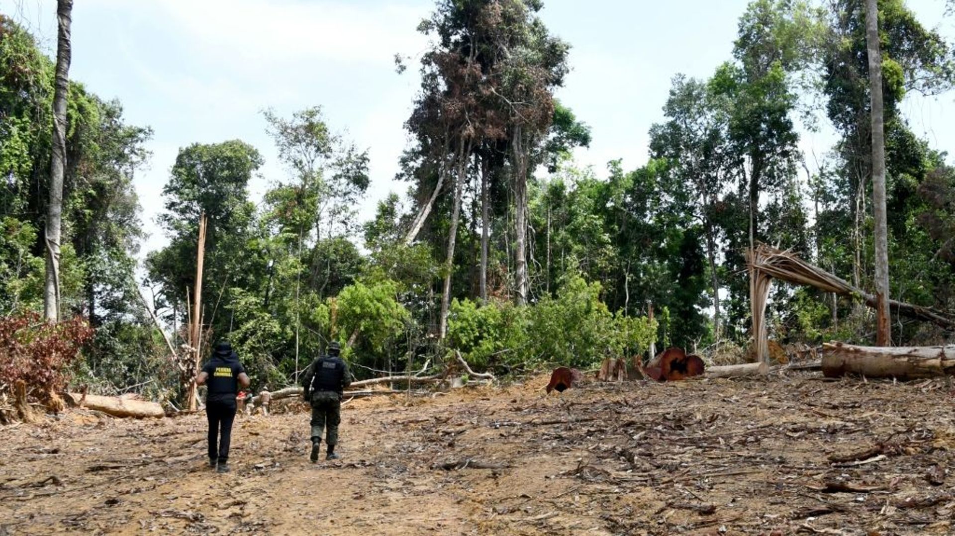 Des responsables de l'État du Para au Brésil inspectent une zone déboisée illégalement dans forêt amazonienne, à Pacaja, le 22 septembre 2021