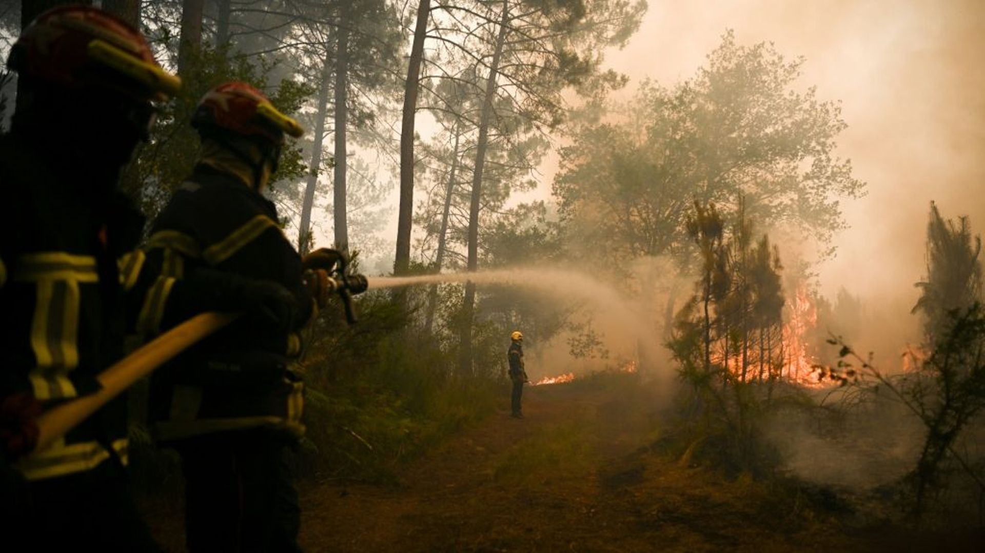 Les deux gigantesques incendies qui sévissent depuis le 12 juillet en Gironde ont brûlé plus de 19.000 hectares de forêt, Louchats, le 18 juillet 2022