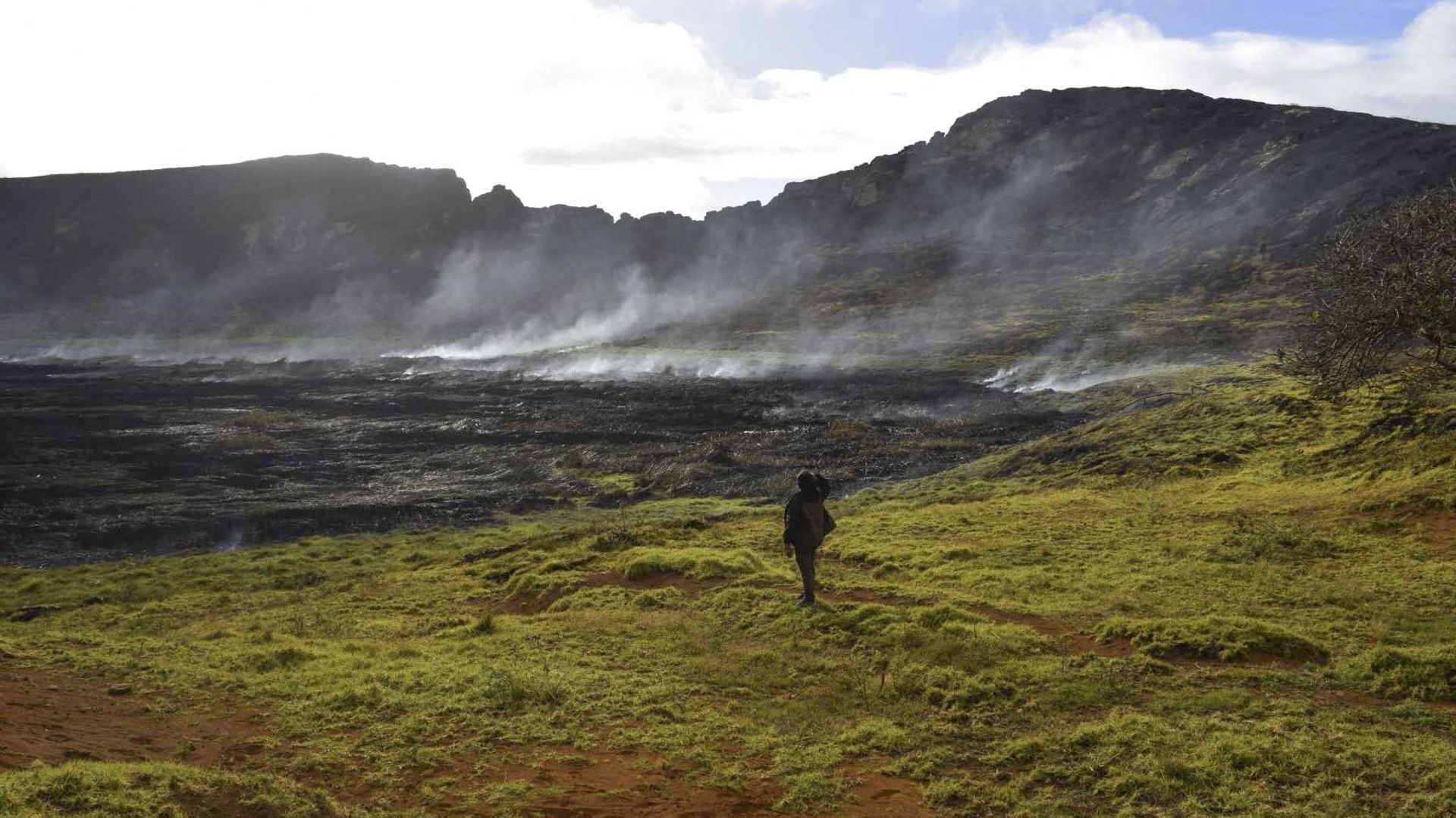 Des Moais abimés, après les feux de forêt sur l'Île de Pâques