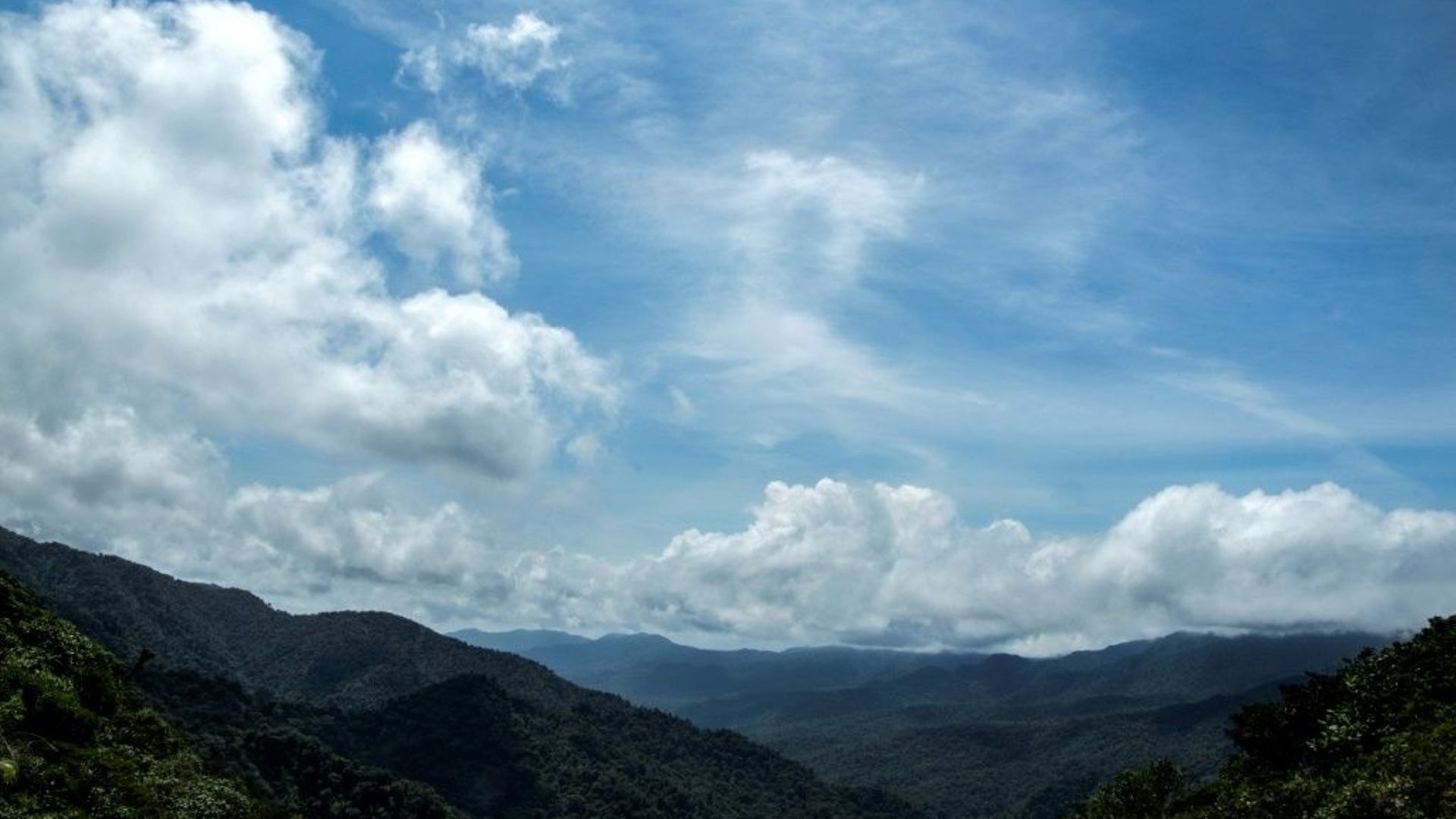 Le changement climatique dissipe 'la forêt des nuages' au Costa Rica ...