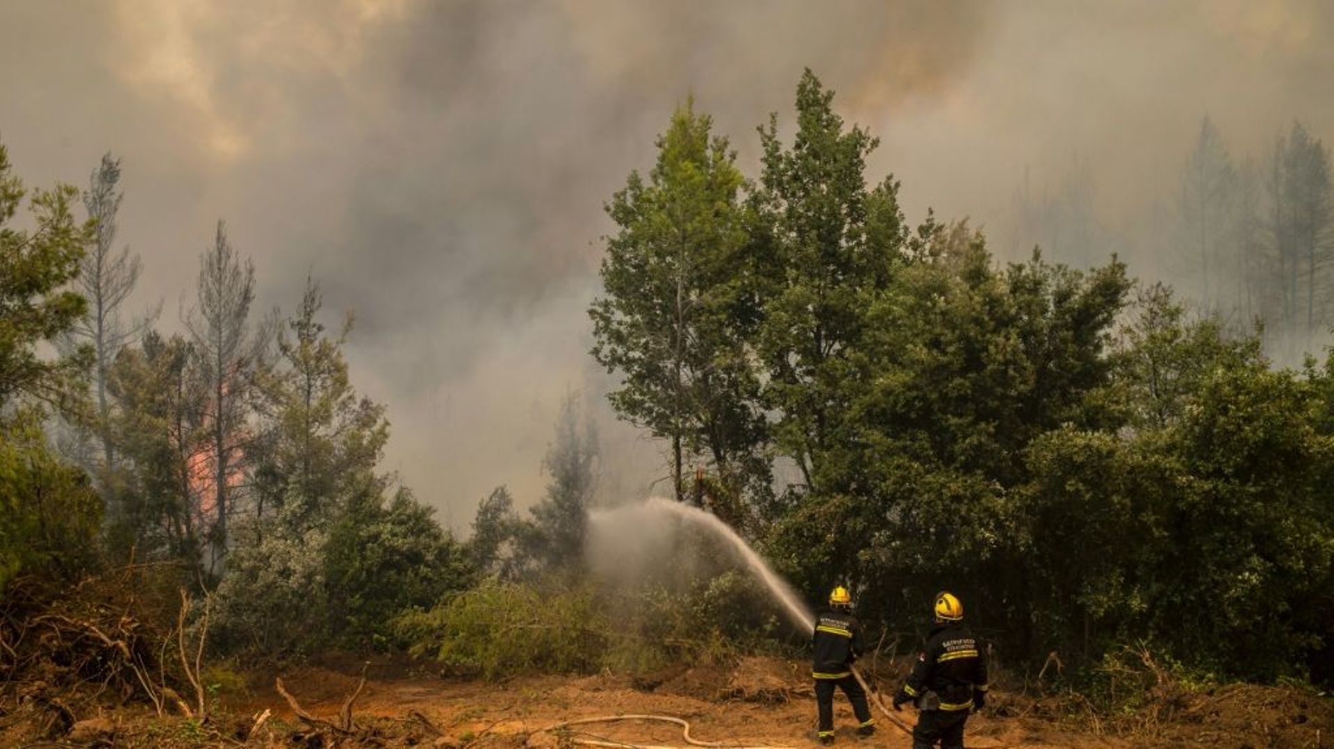 Des pompiers venus de Serbie luttent contre un incendie près du village d'Avgaria sur l'île d'Eubée, le 10 août 2021 en Grèce 