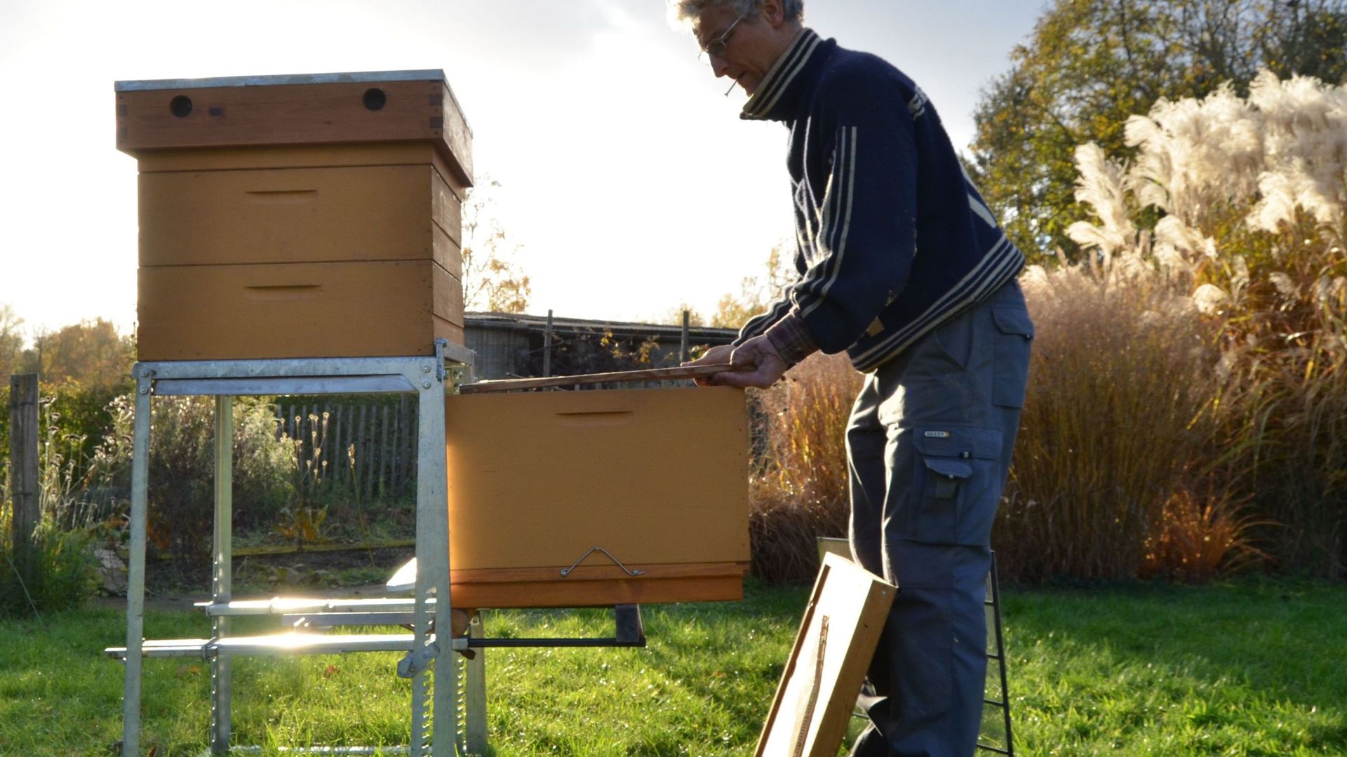 Un nouveau système pour faciliter le travail des apiculteurs