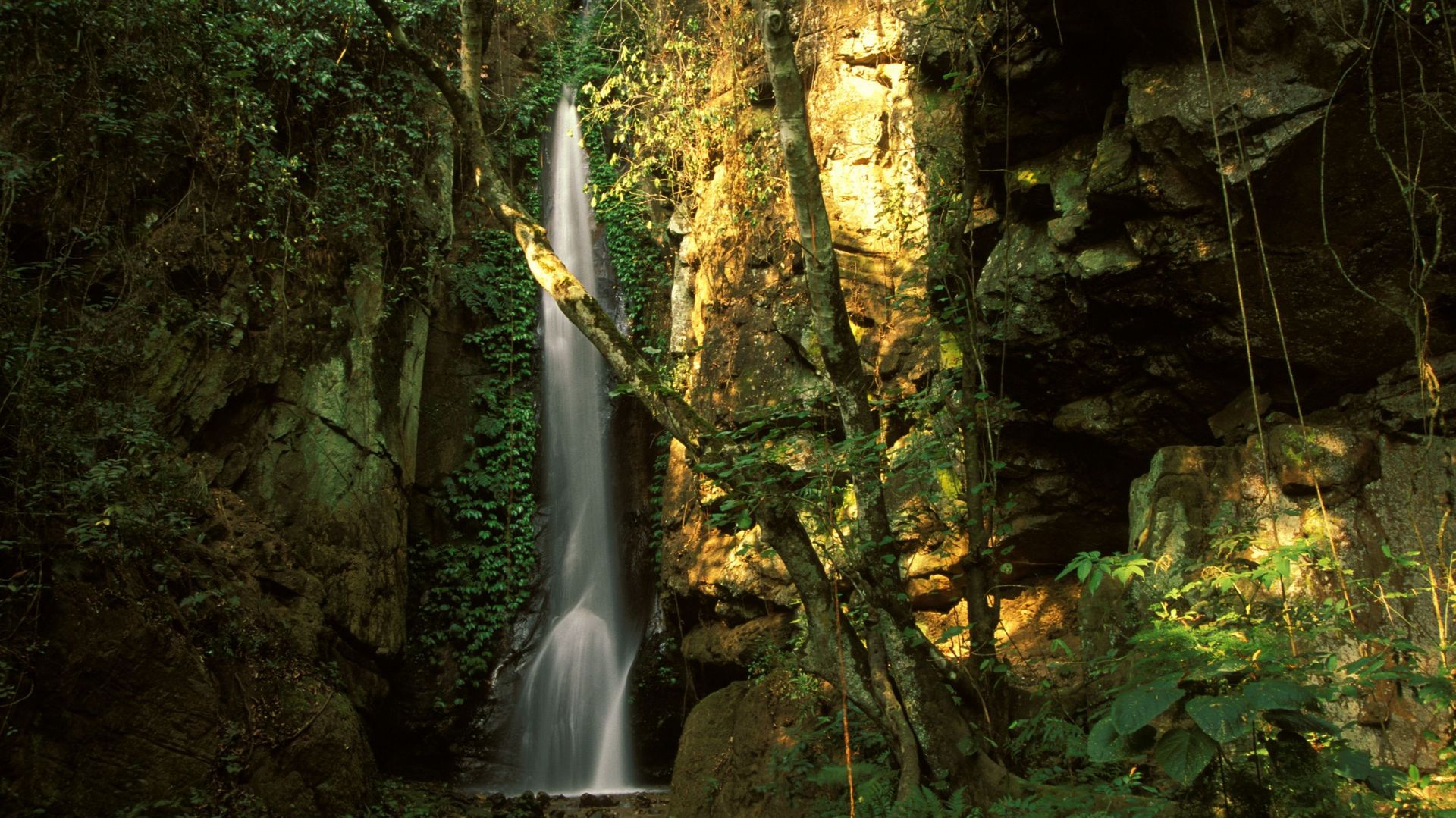 Gombe Stream National Park,