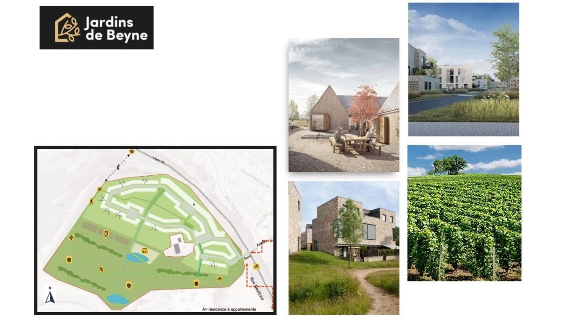 Des vignes, du houblon, des promenades et des dispositifs anti-érosion : un quartier "durable" au Ry-Ponet ?