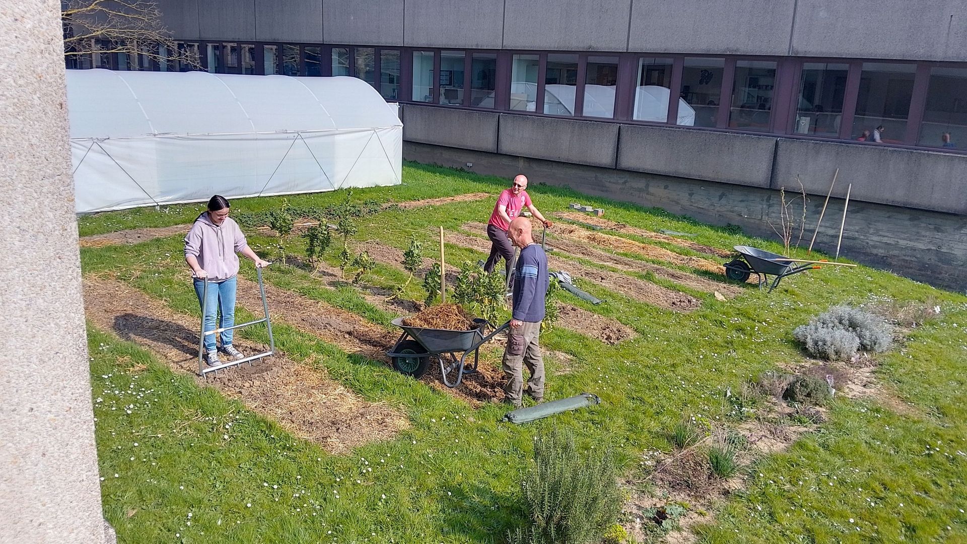 Feed the Future: Rethink Food Systems - News Directory 3