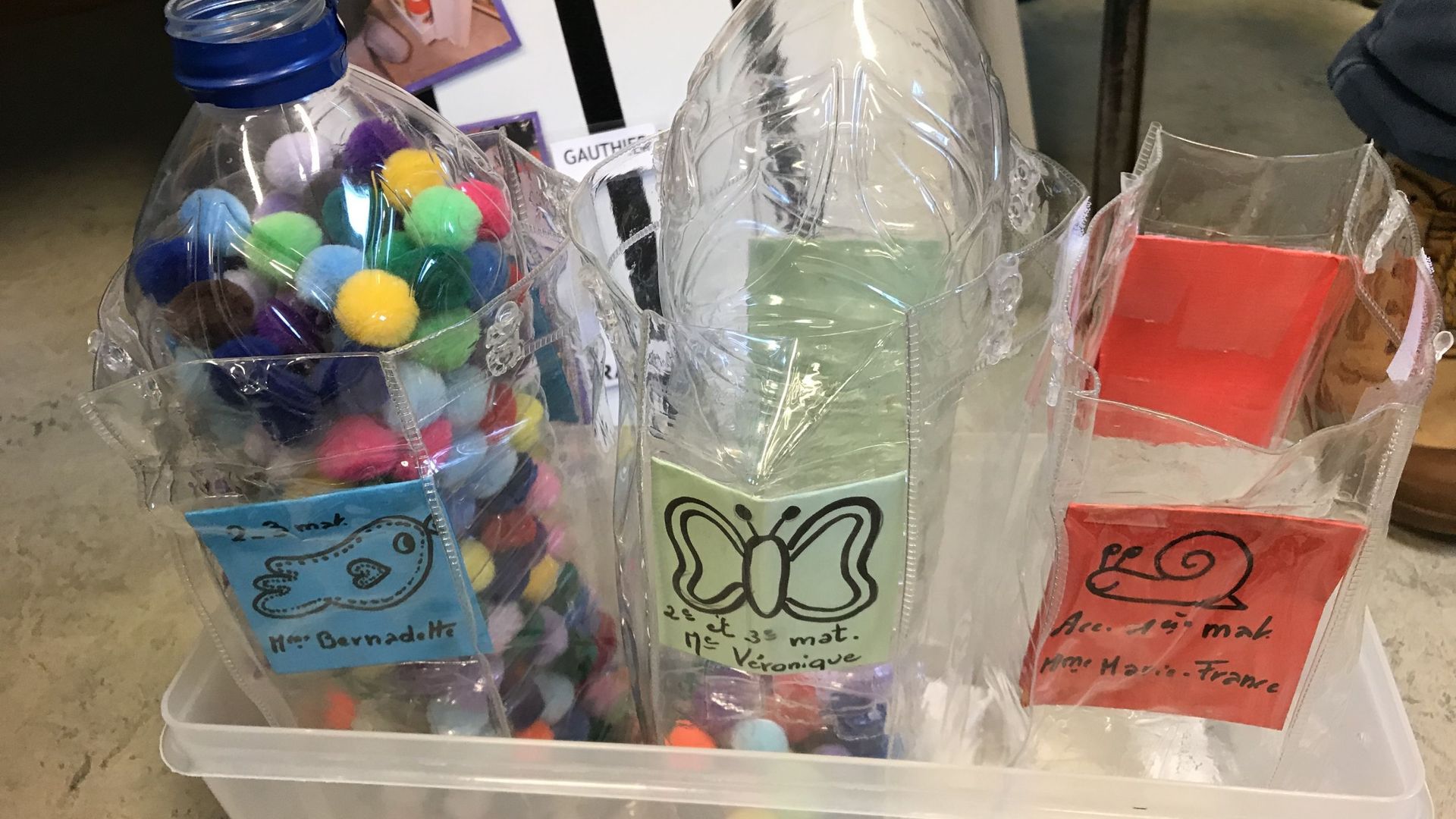 Petits pompons de couleurs collectés par les élèves de maternelle
