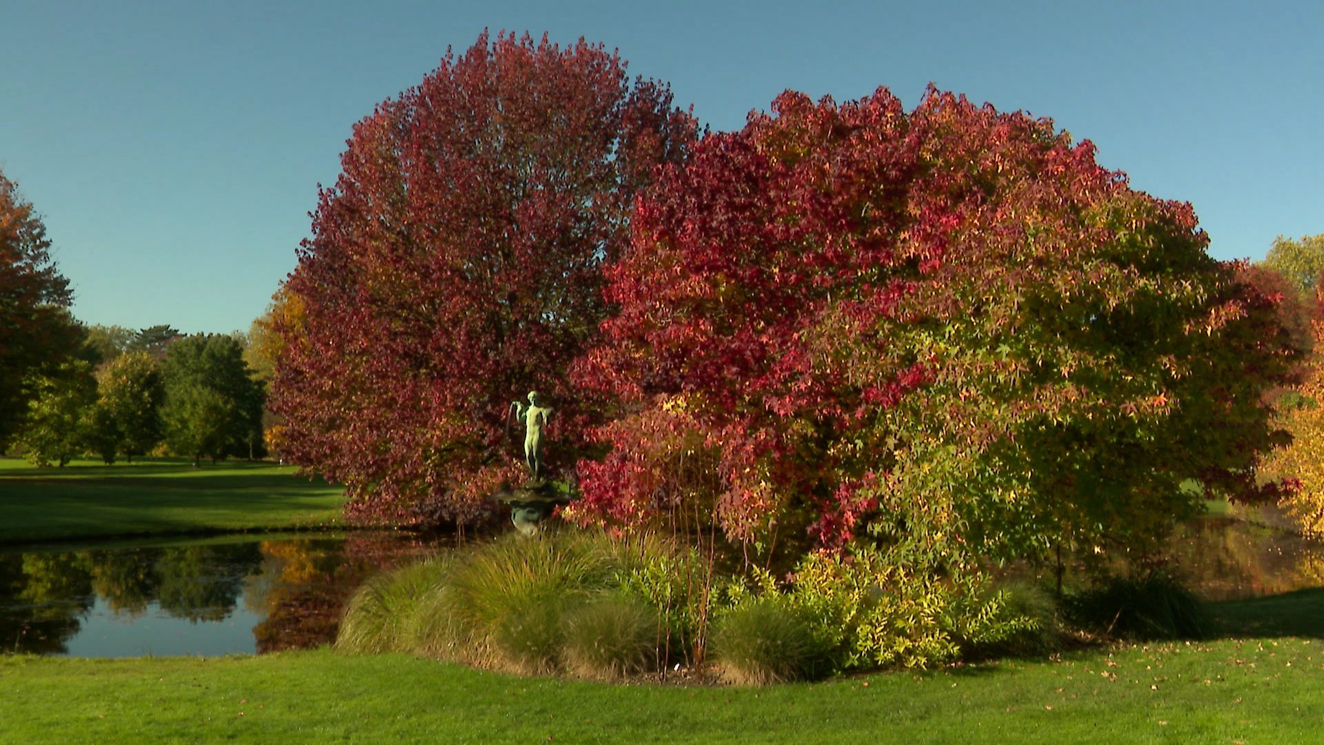 Arboretum de Wespelaar