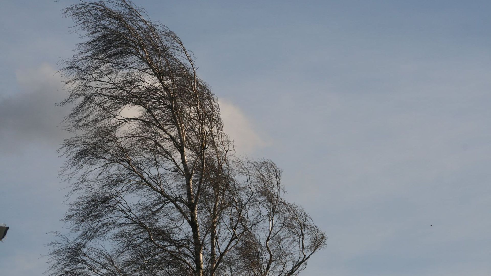Dans notre groupe Facebook Météo RTBF – Ciel Partagé