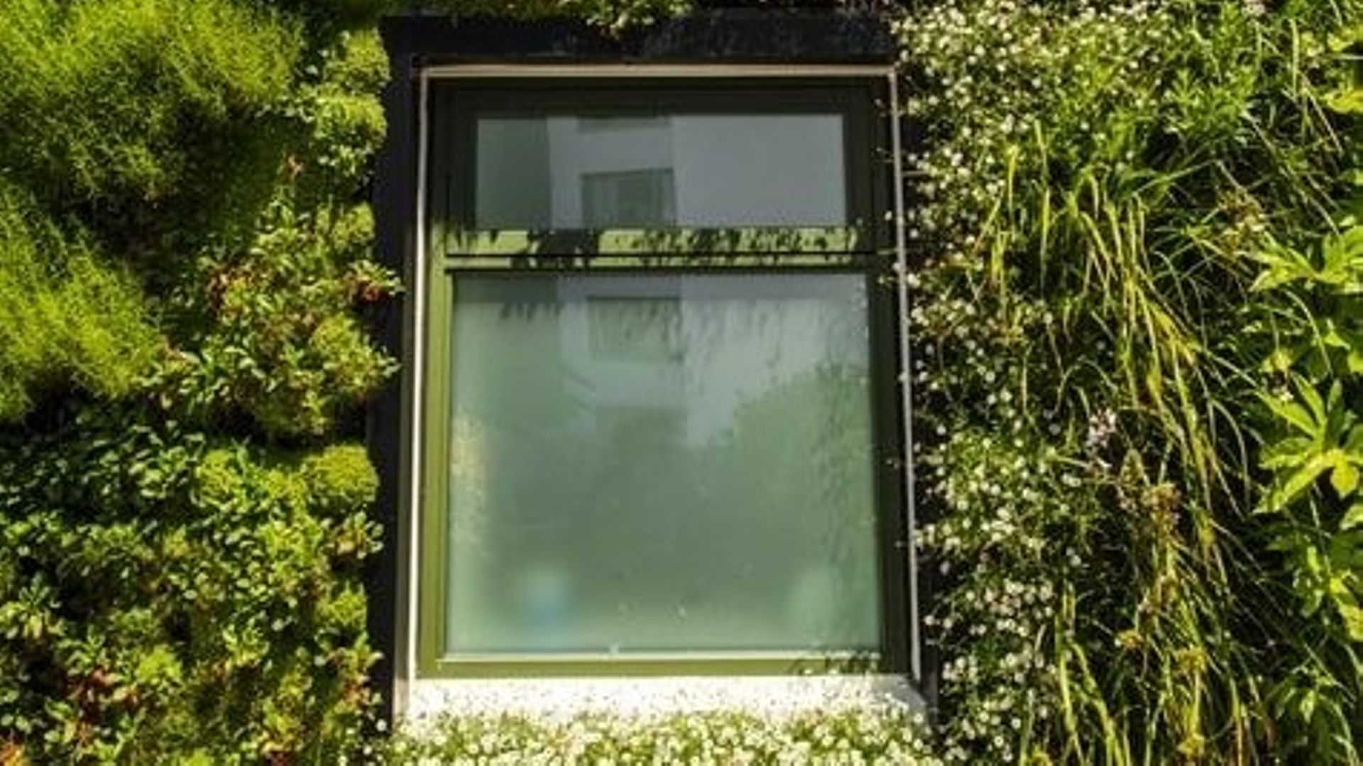  Les murs végétaux, une solution pour mieux isoler les bâtiments ? 