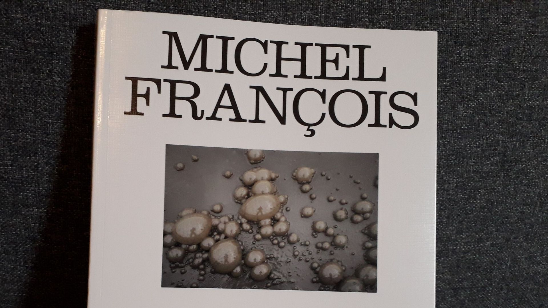 Michel François. Contre nature. Catalogue.