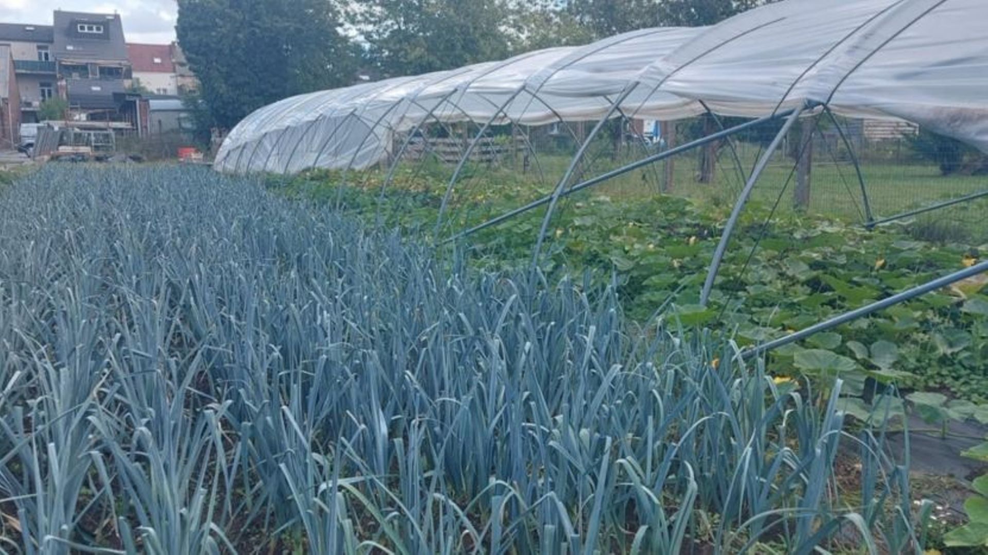 Un jardin trop grand pour vous ? Et si vous laissiez quelqu’un d’autre y faire pousser des légumes ?