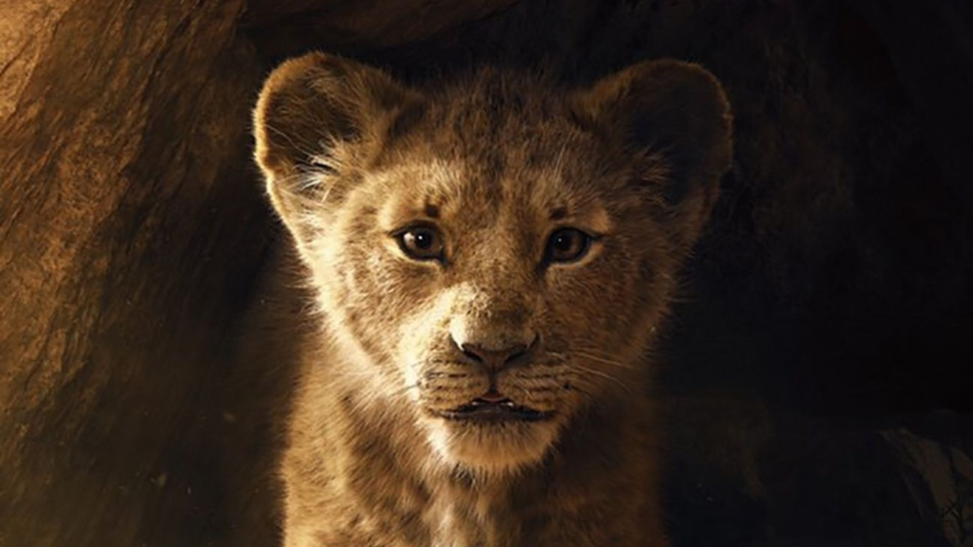 "The Lion King" (Le Roi Lion), réalisé par Jon Favreau.