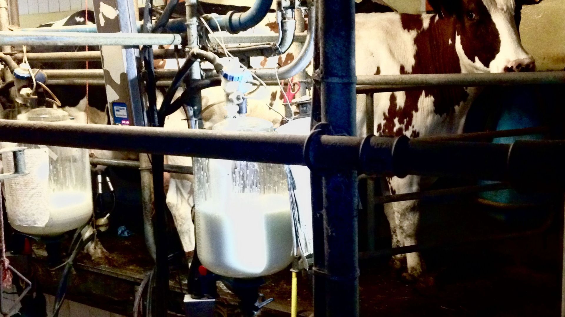 delestage-le-risque-de-penurie-d-electricite-inquiete-ce-producteur-de-lait