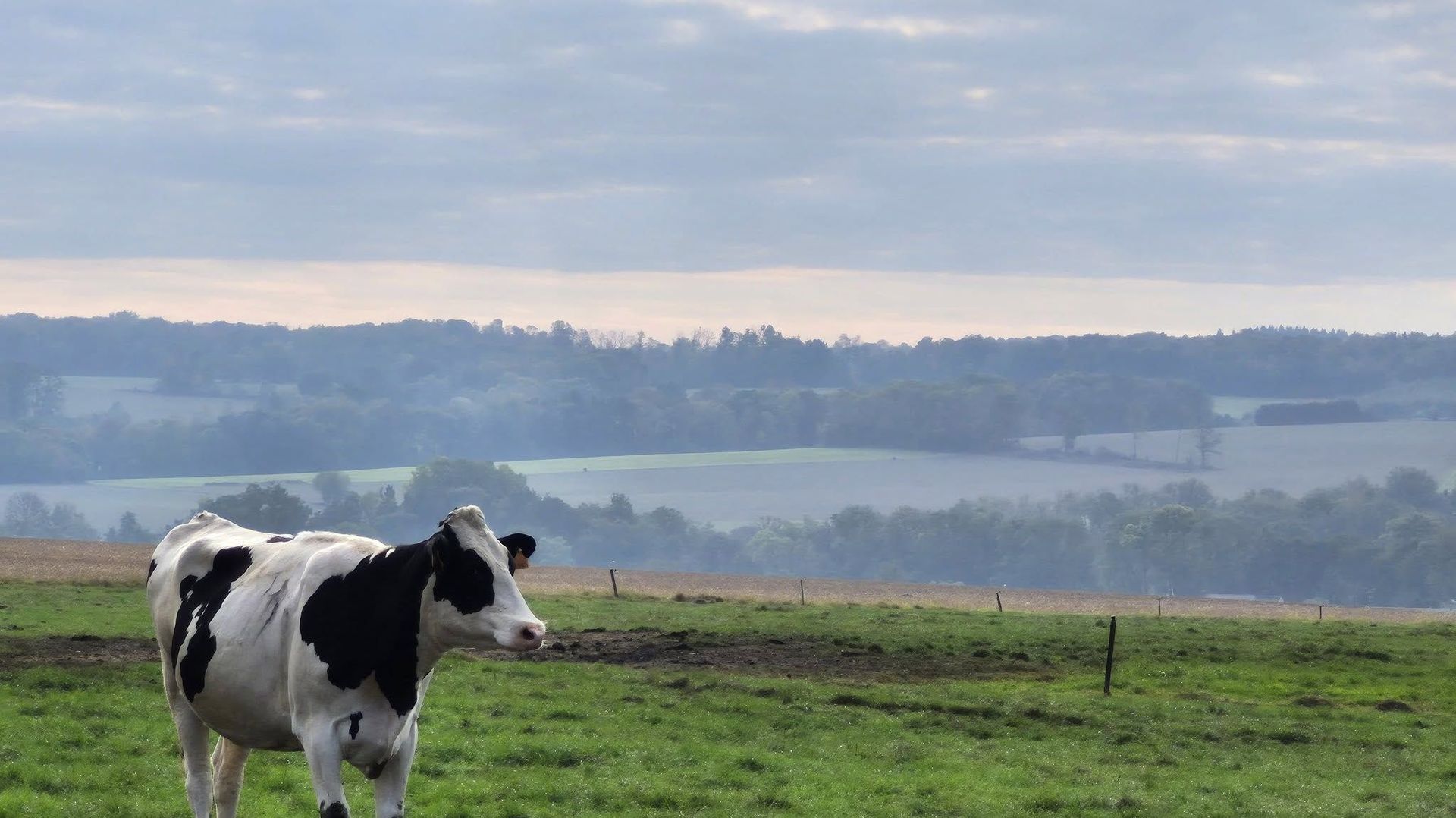 Météo en Belgique : temps calme, à une ondée près ce mardi