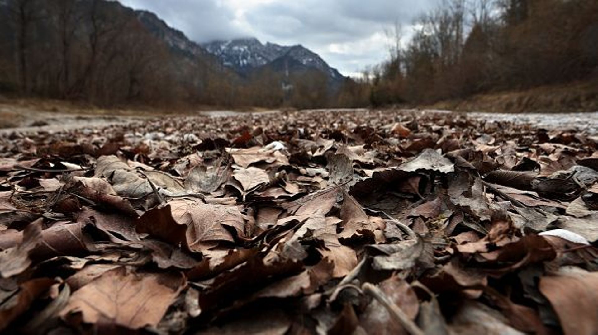 Au vu de l’enneigement souvent faible dans les Alpes et du manque de pluie en février, les experts estiment qu’il y a bientôt une menace de sécheresse massive.