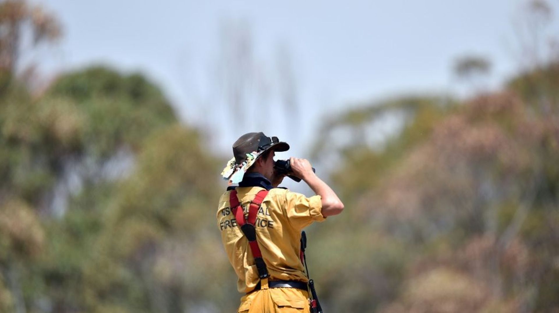 Un pompier surveille l'avancée des incendies dans la région de Penrose, en Nouvelles-Galles du Sud, en Australie, le 10 janvier 2020
