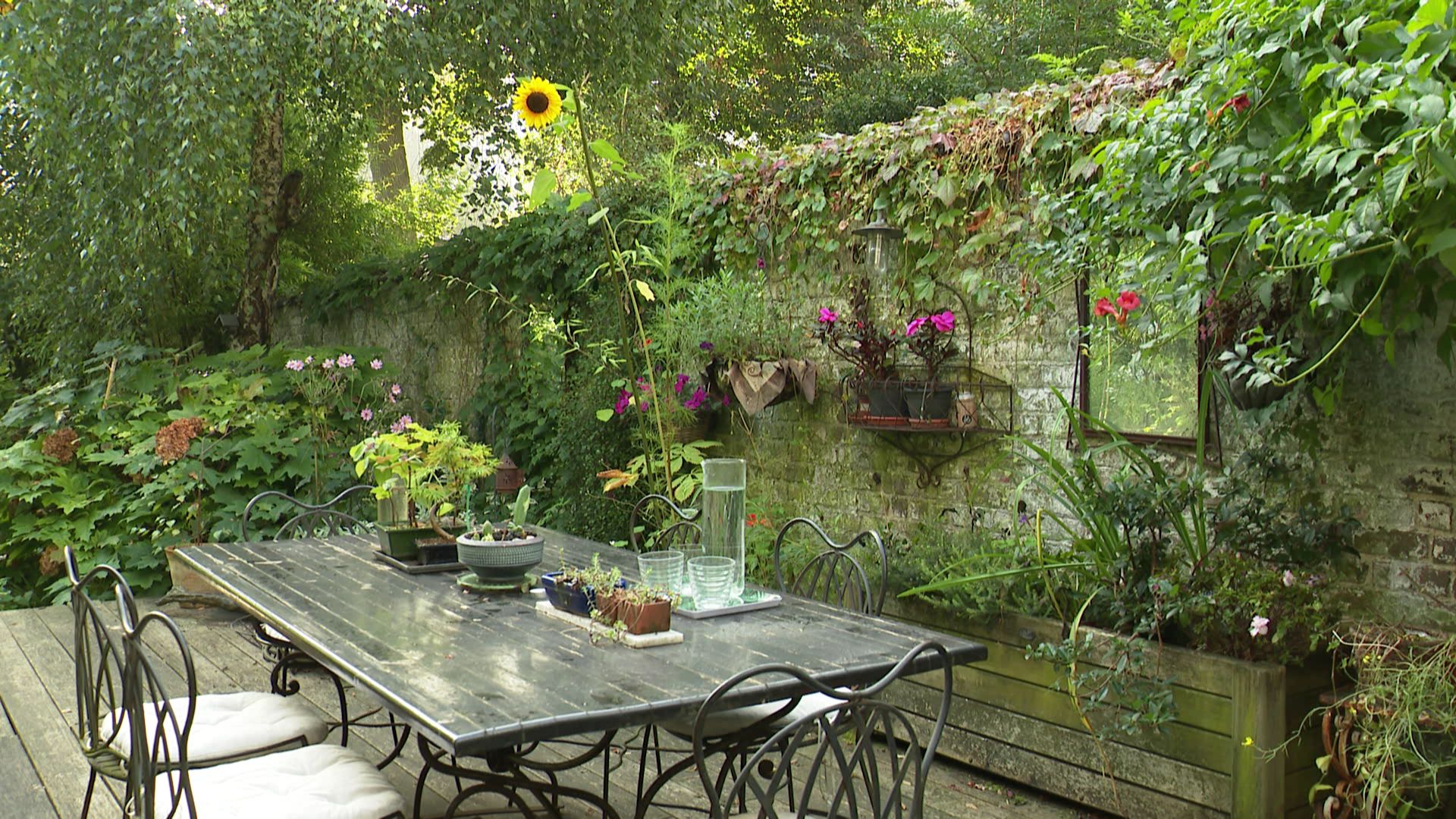 Terrasse et mur végétalisé