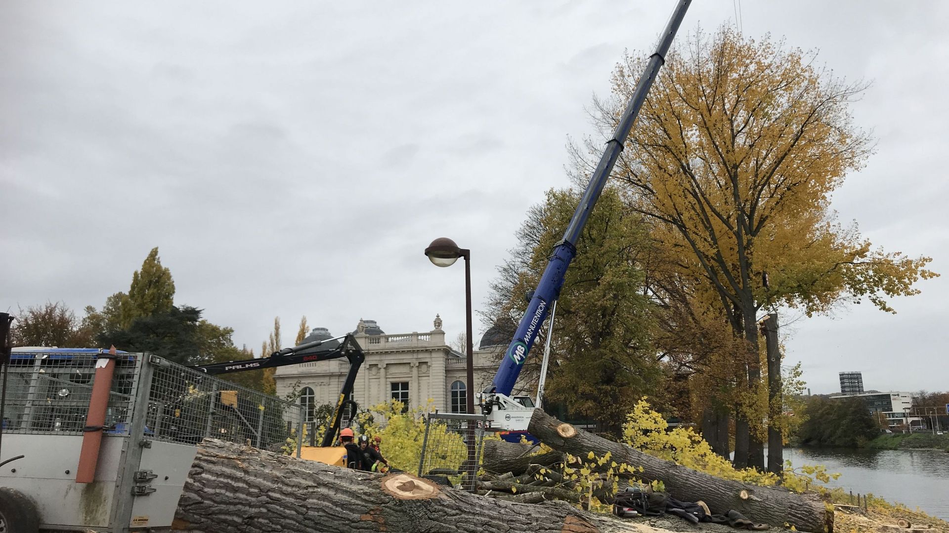 Parc de la Boverie: 11 arbres à abattre pour raison de sécurité