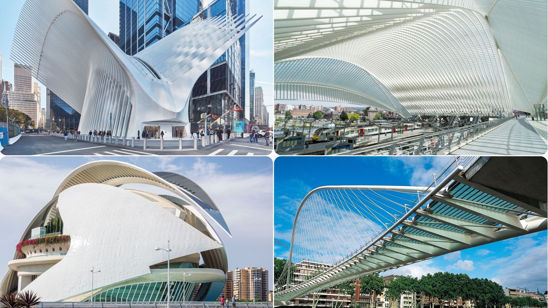 Quatre réalisations de Santiago Calatrava à New York, Liège, Valence et Bilbao.