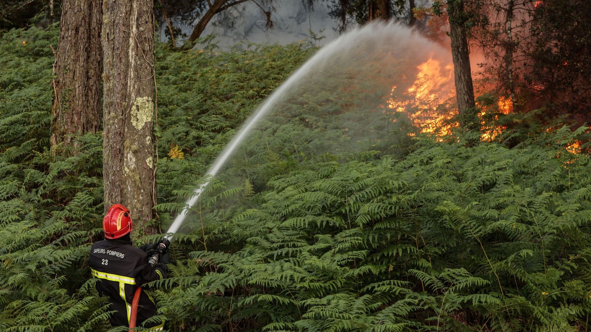 Un pompier travaille à l’extinction d’un feu de forêt au pied de la dune du Pilat, près de La Teste-de-Buch, dans le sud-ouest de la France, le 13 juillet 2022. – Un incendie en cours depuis l’après-midi du 12 juillet 2022 a brûlé 1500 hectares de pinède
