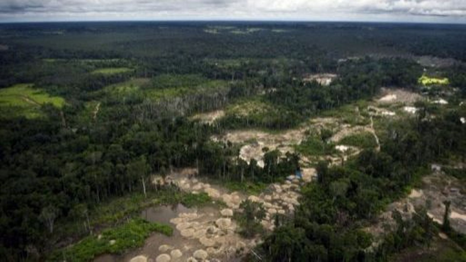 Vue aérienne d'une partie de la forêt amazonienne au Pérou ravagée par les mines d'or artisanales, le 19 février 2011