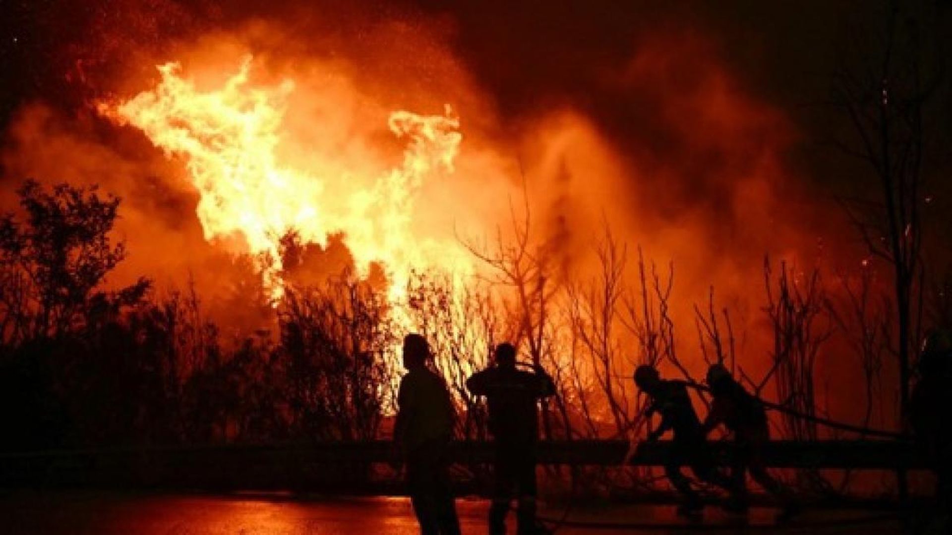 Plus de 300 pyromanes arrêtés en Grèce, une nouvelle loi durcit les sanctions à leur égard