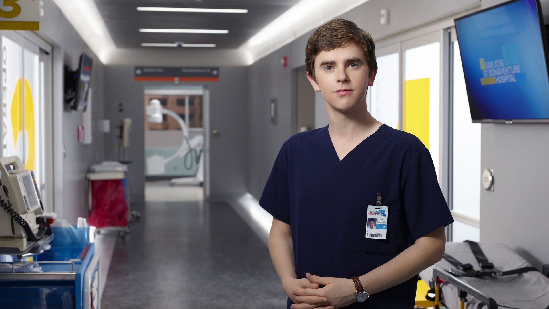"Good Doctor", "Alex Hugo"... : 5 séries à revoir gratuitement !