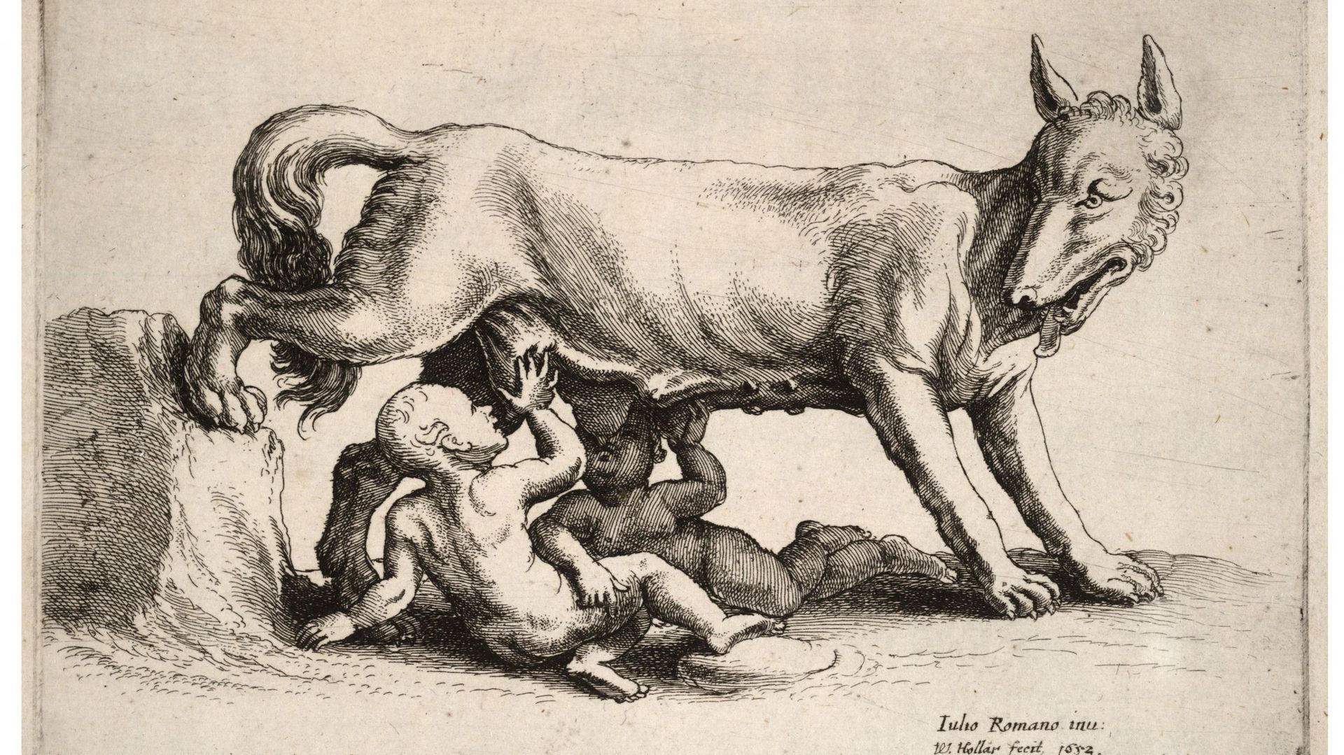 Illustration de Romulus et Remus