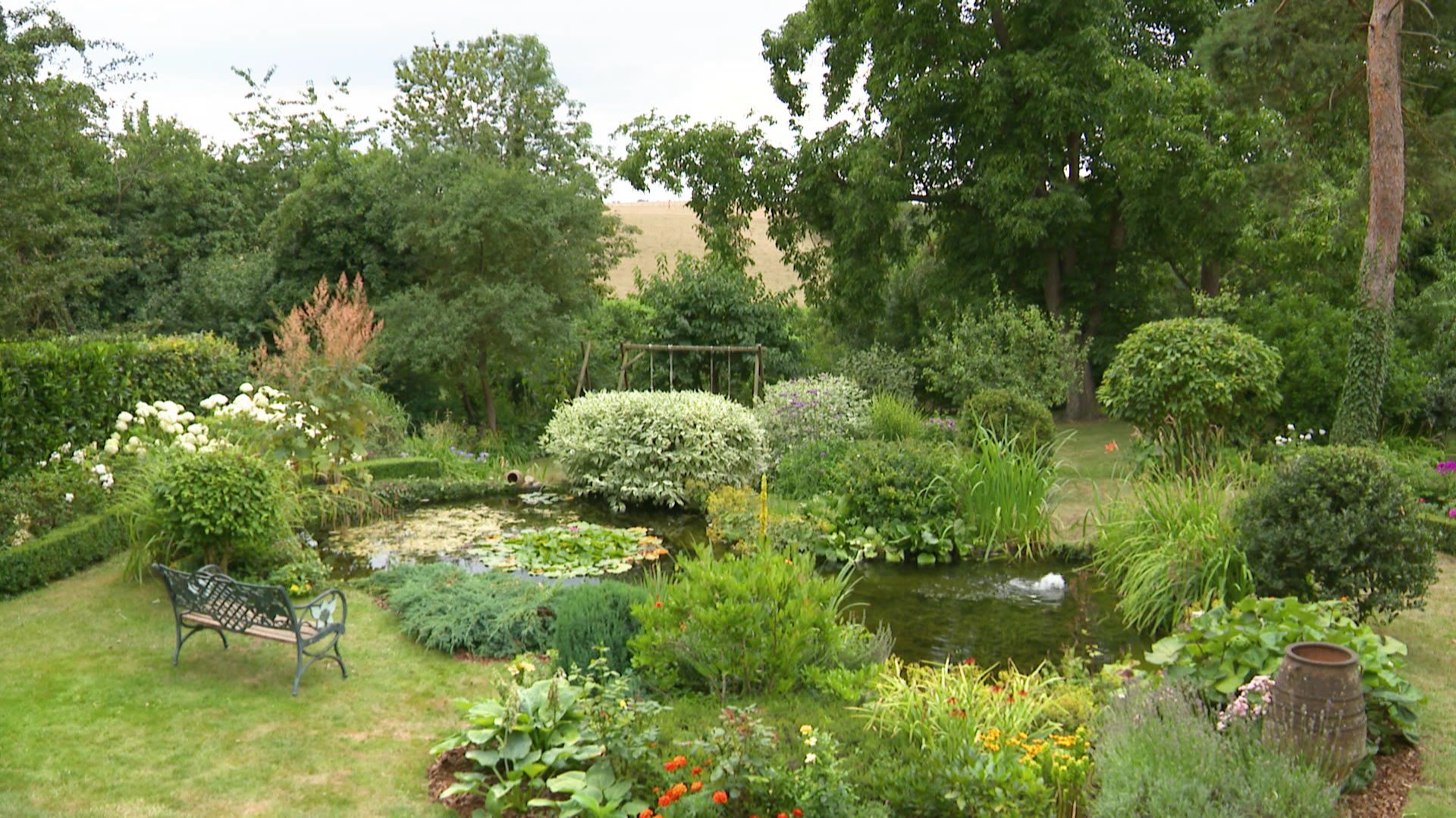 Le bassin de jardin de Philippe