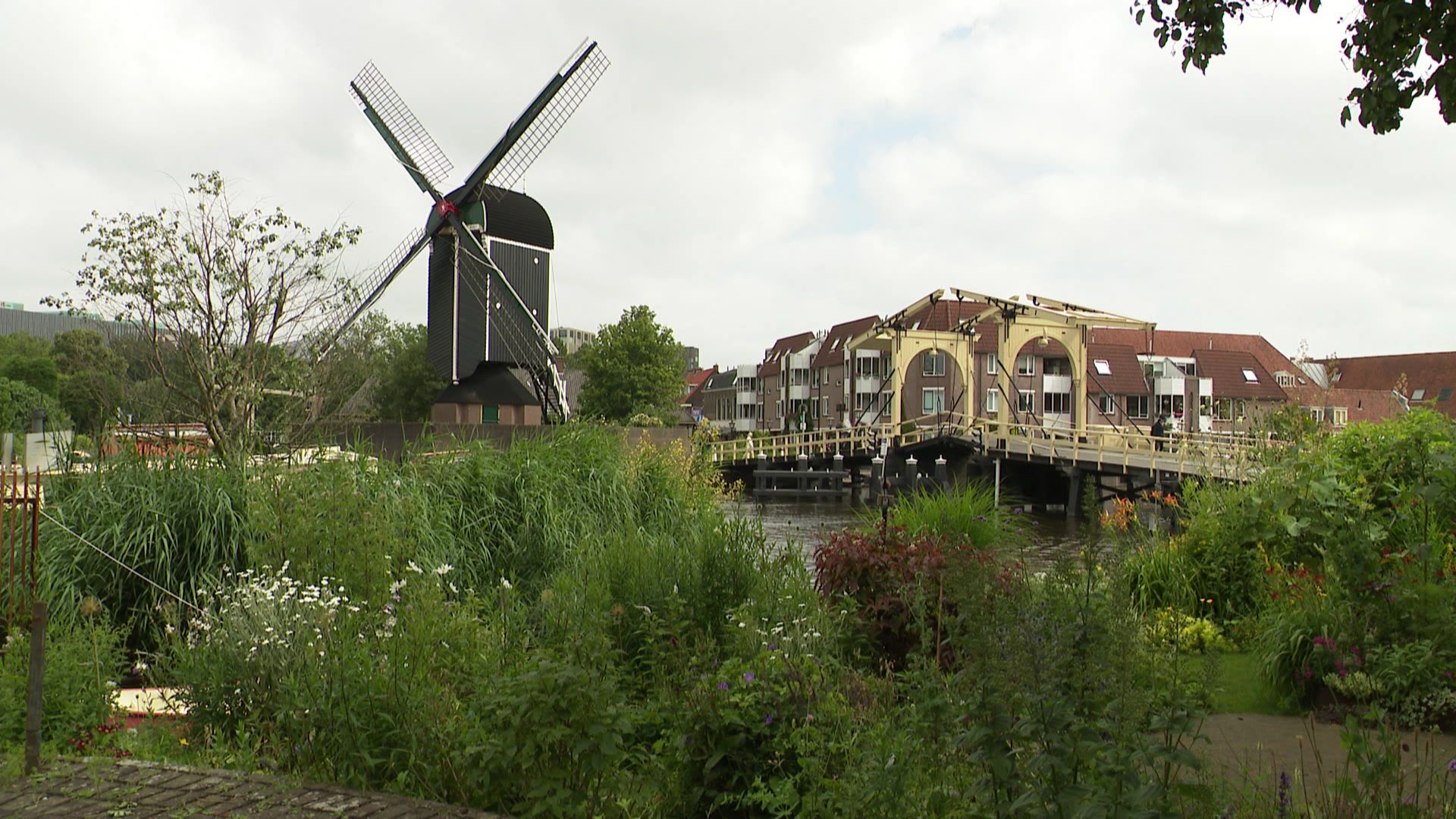 Singelpark à Leiden aux Pays-Bas