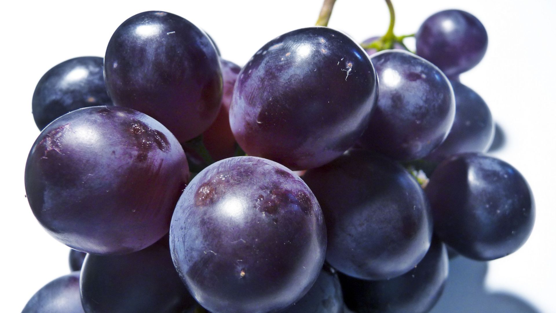 La cure de raisin, un moyen naturel de se détoxifier.