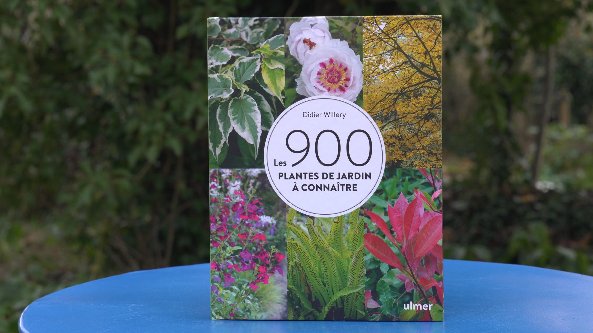 Les 900 plantes de jardin à connaître