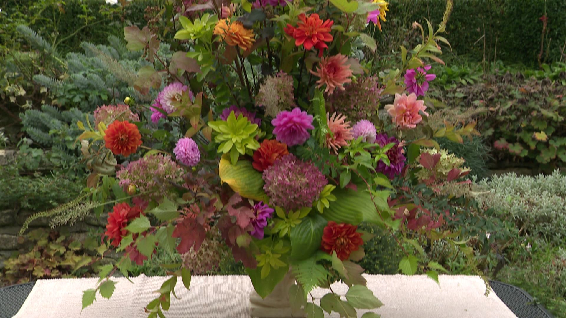 Composition florale avec les fleurs et les plantes du jardin