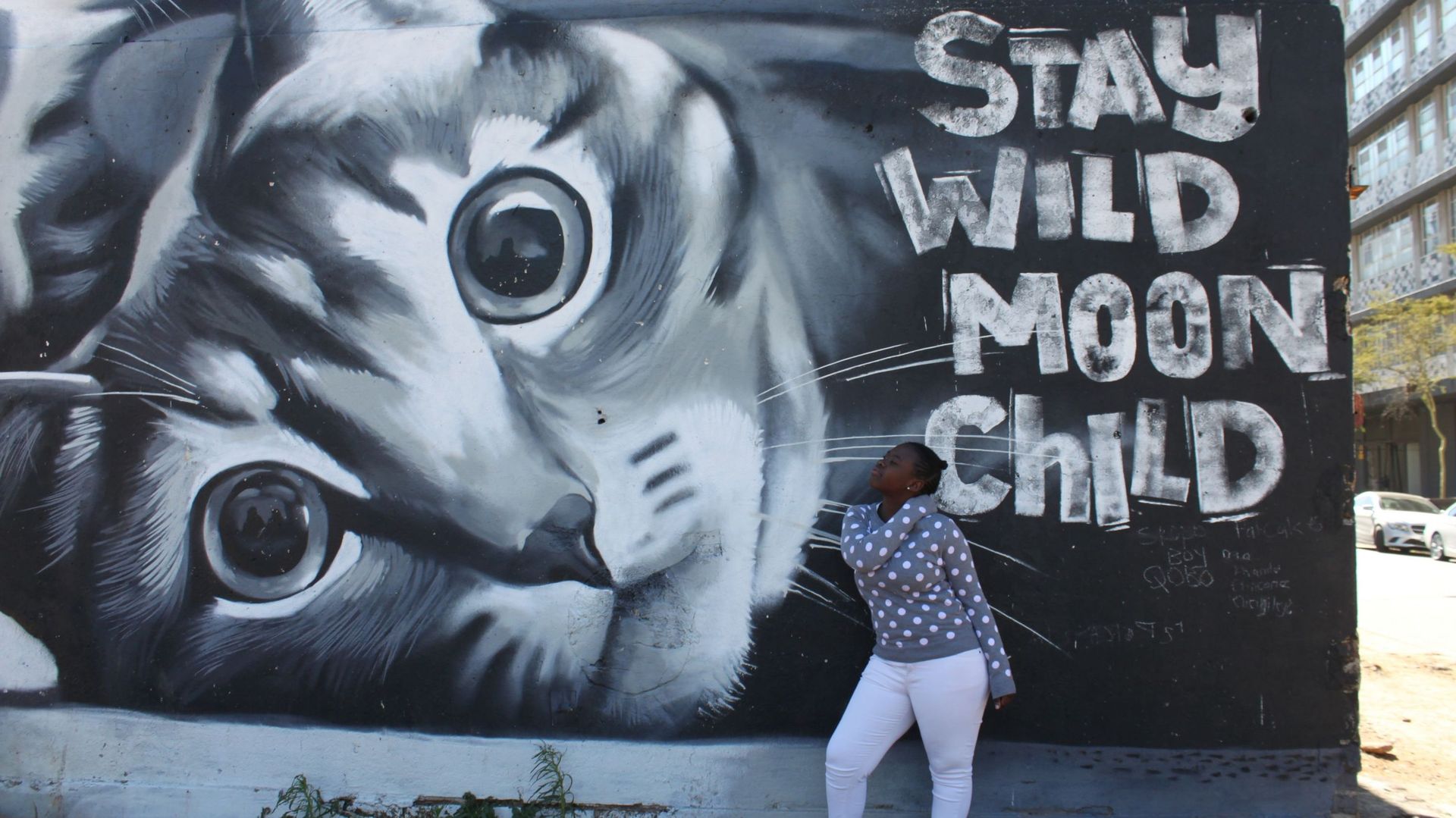 Afrique du Sud: Johannesburg veut devenir "l'une des capitales mondiales du graffiti"